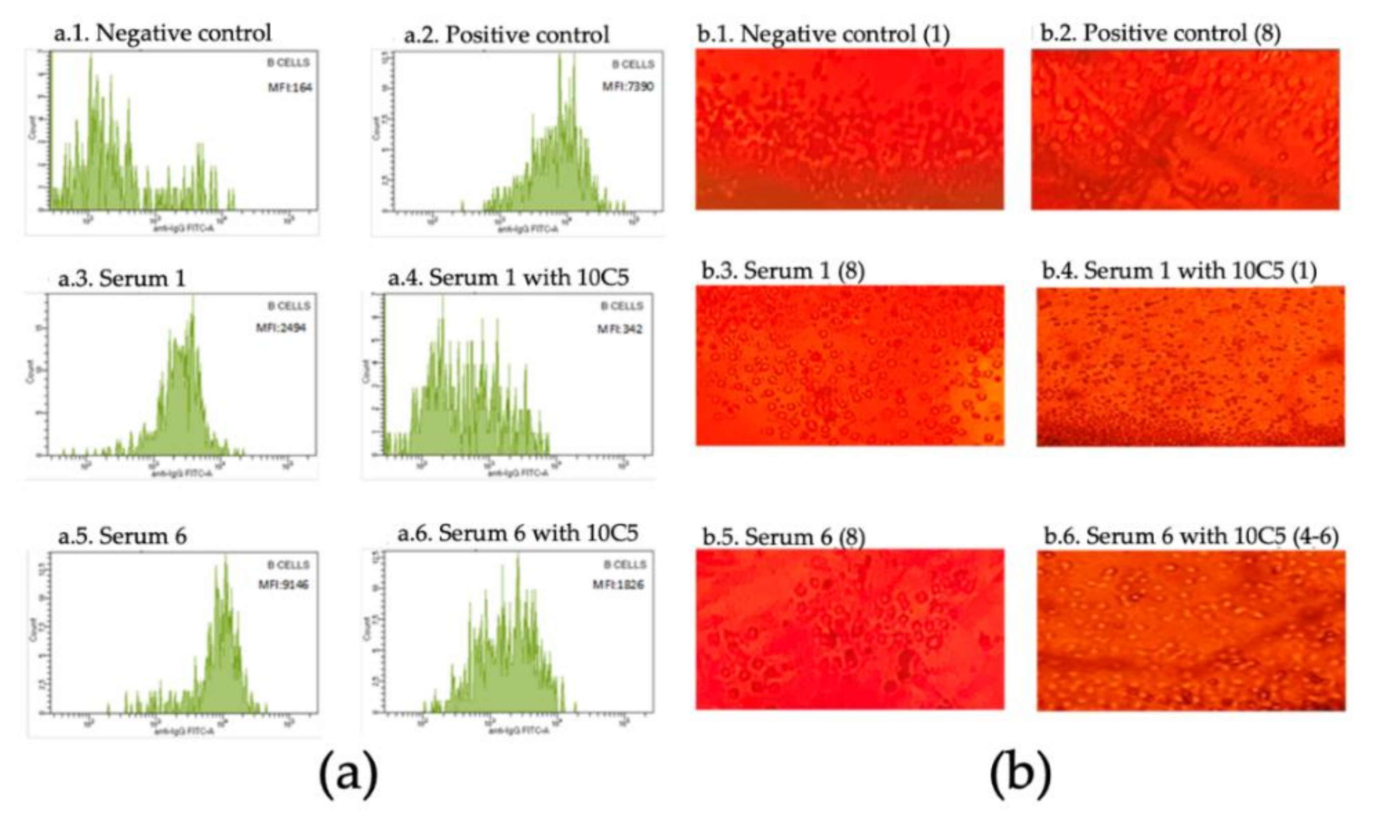 Antibodies 09 00041 g001