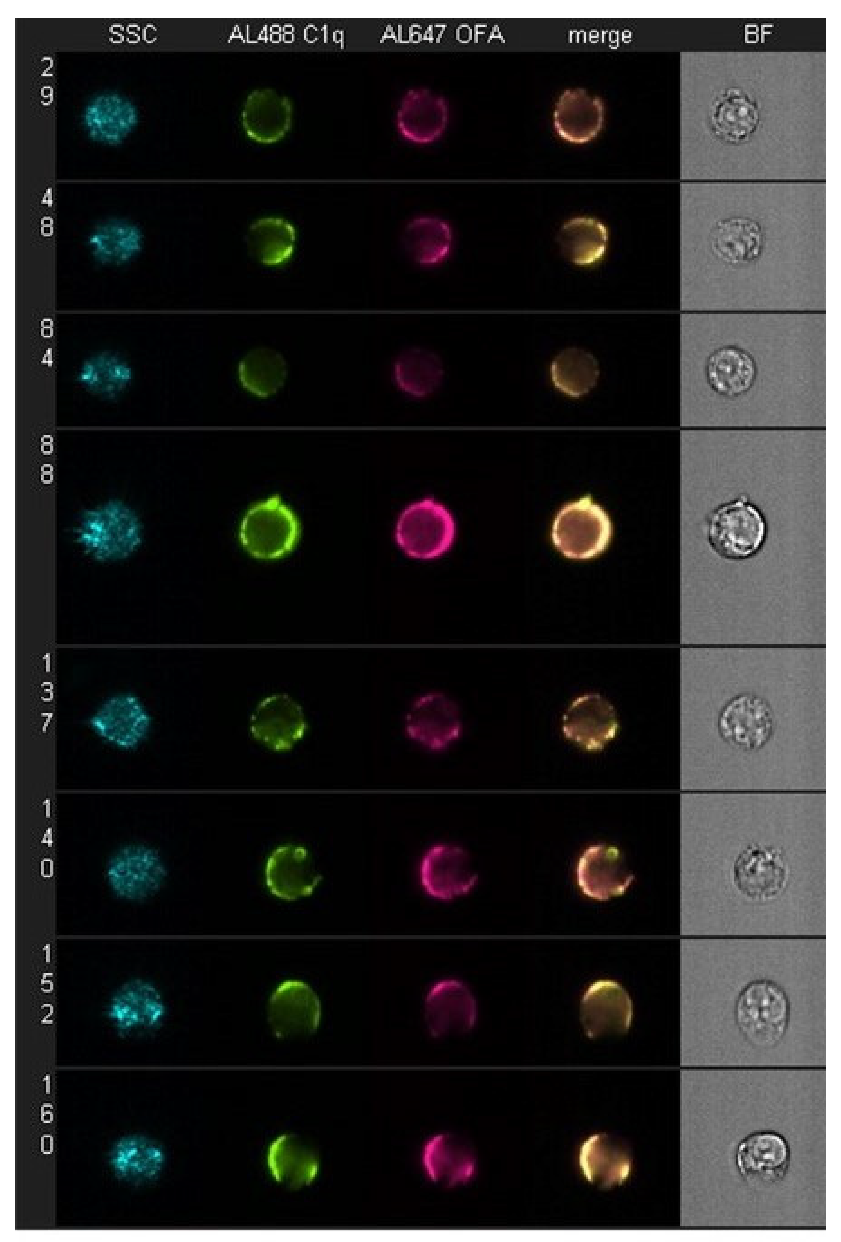 Antibodies 09 00045 g002 Antibodies 09 00045 g002