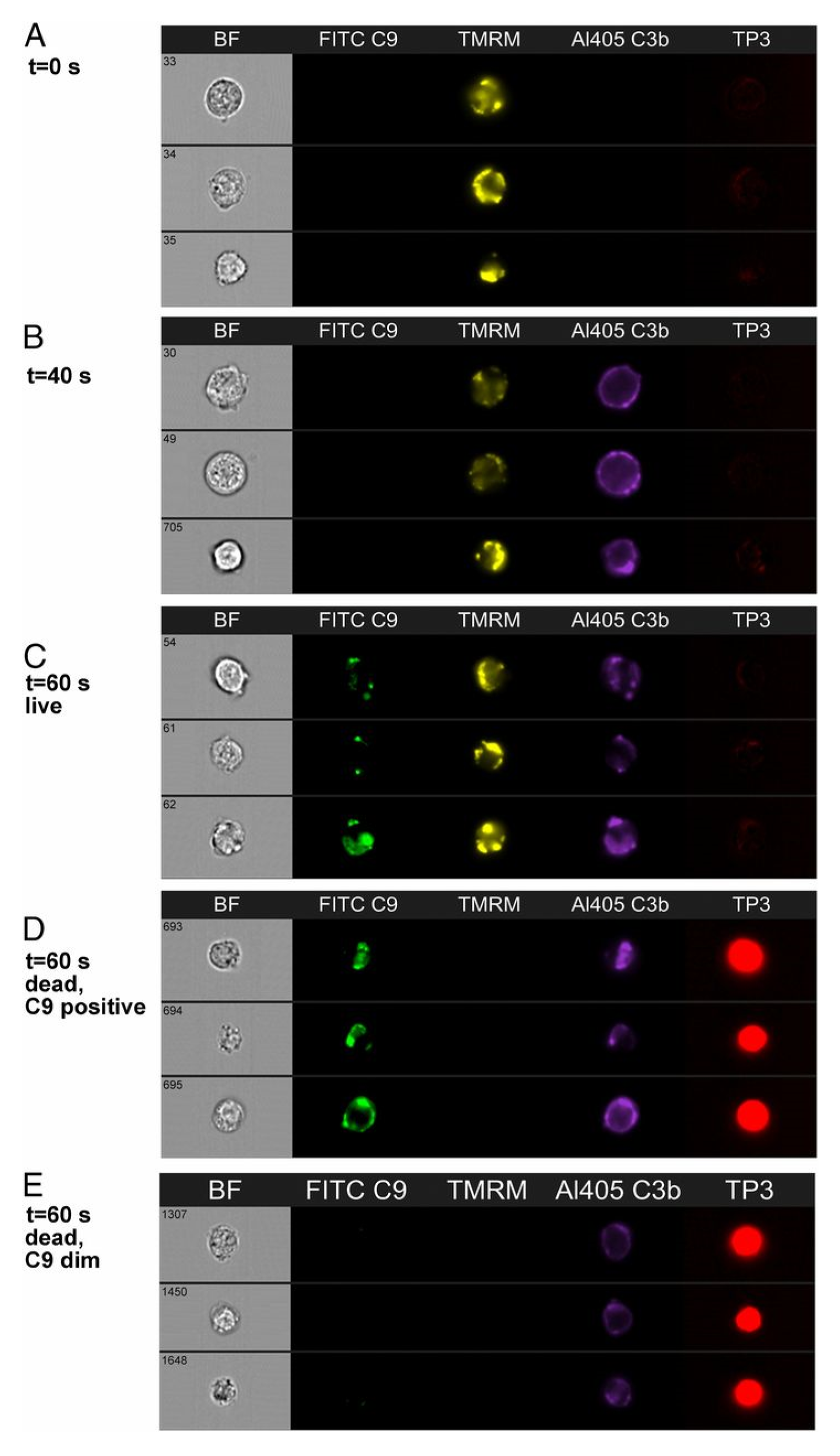 Antibodies 09 00045 g011 Antibodies 09 00045 g011