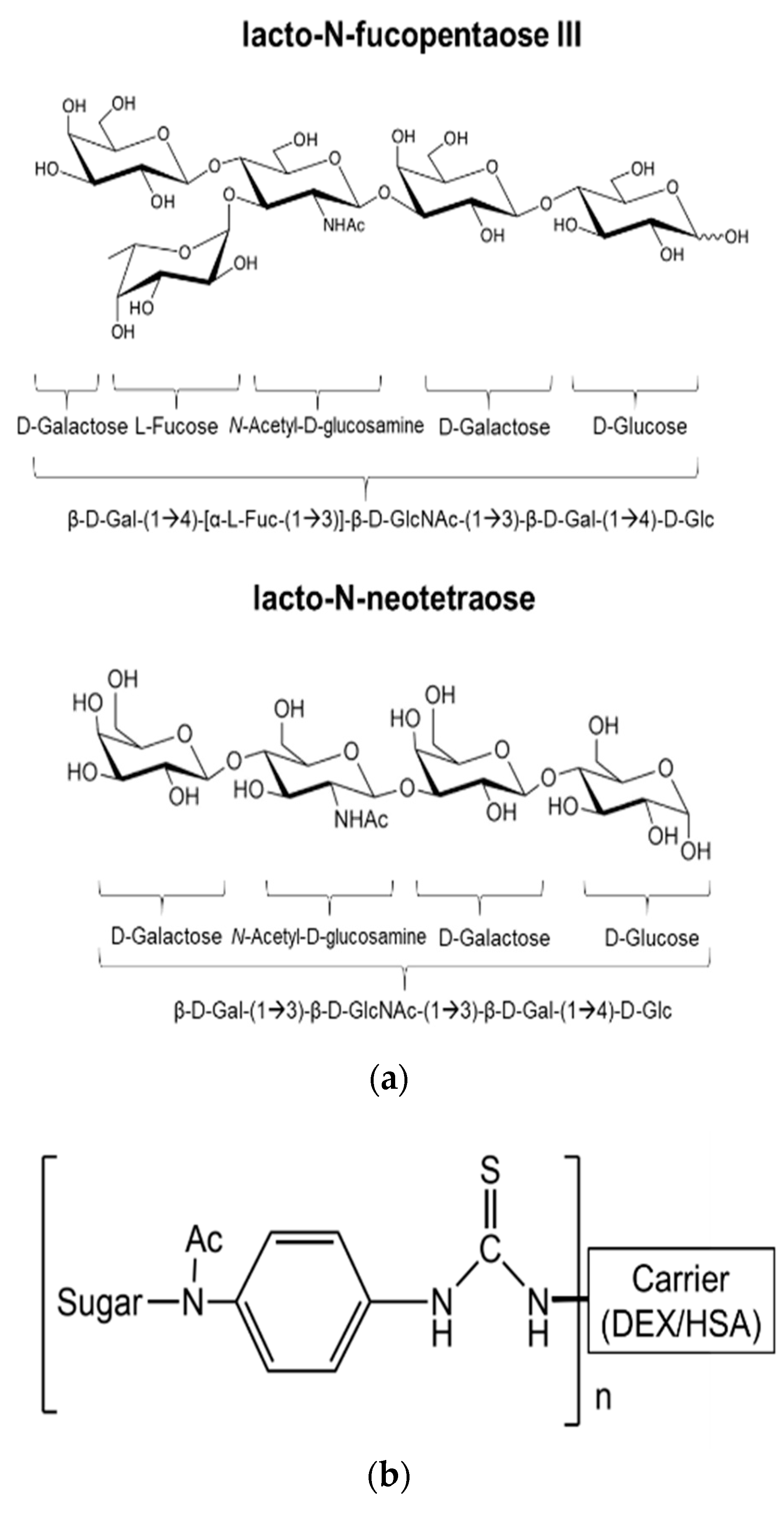 Antibodies 09 00048 g005 Antibodies 09 00048 g005
