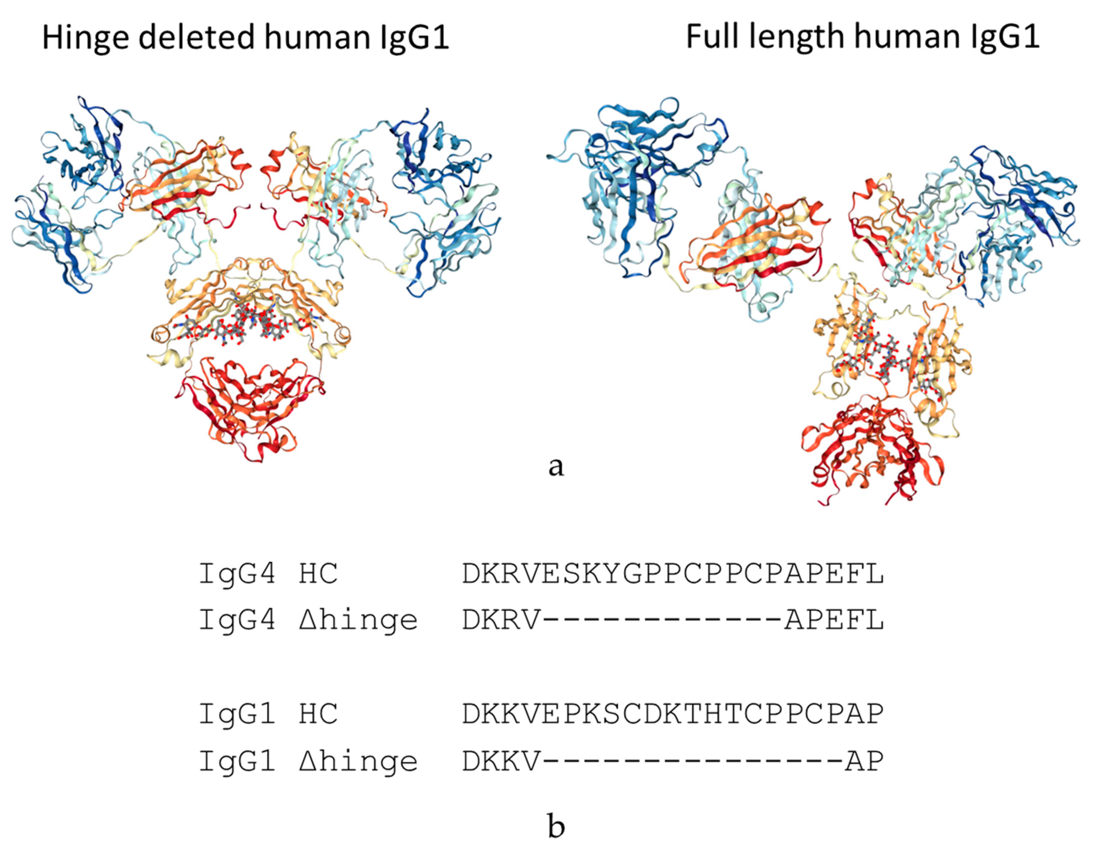 Antibodies 09 00050 g001