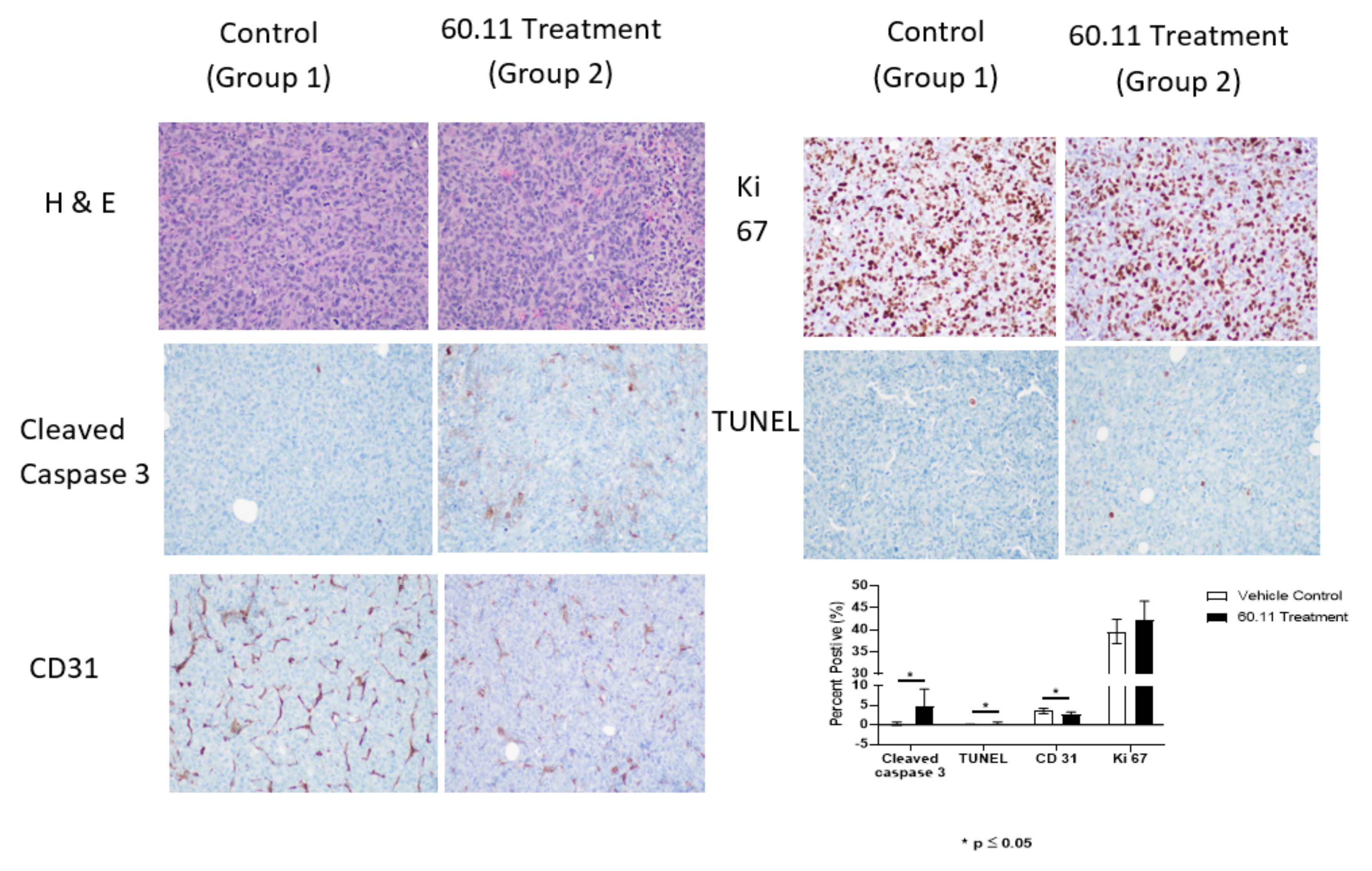 Antibodies 09 00051 g002 Antibodies 09 00051 g002