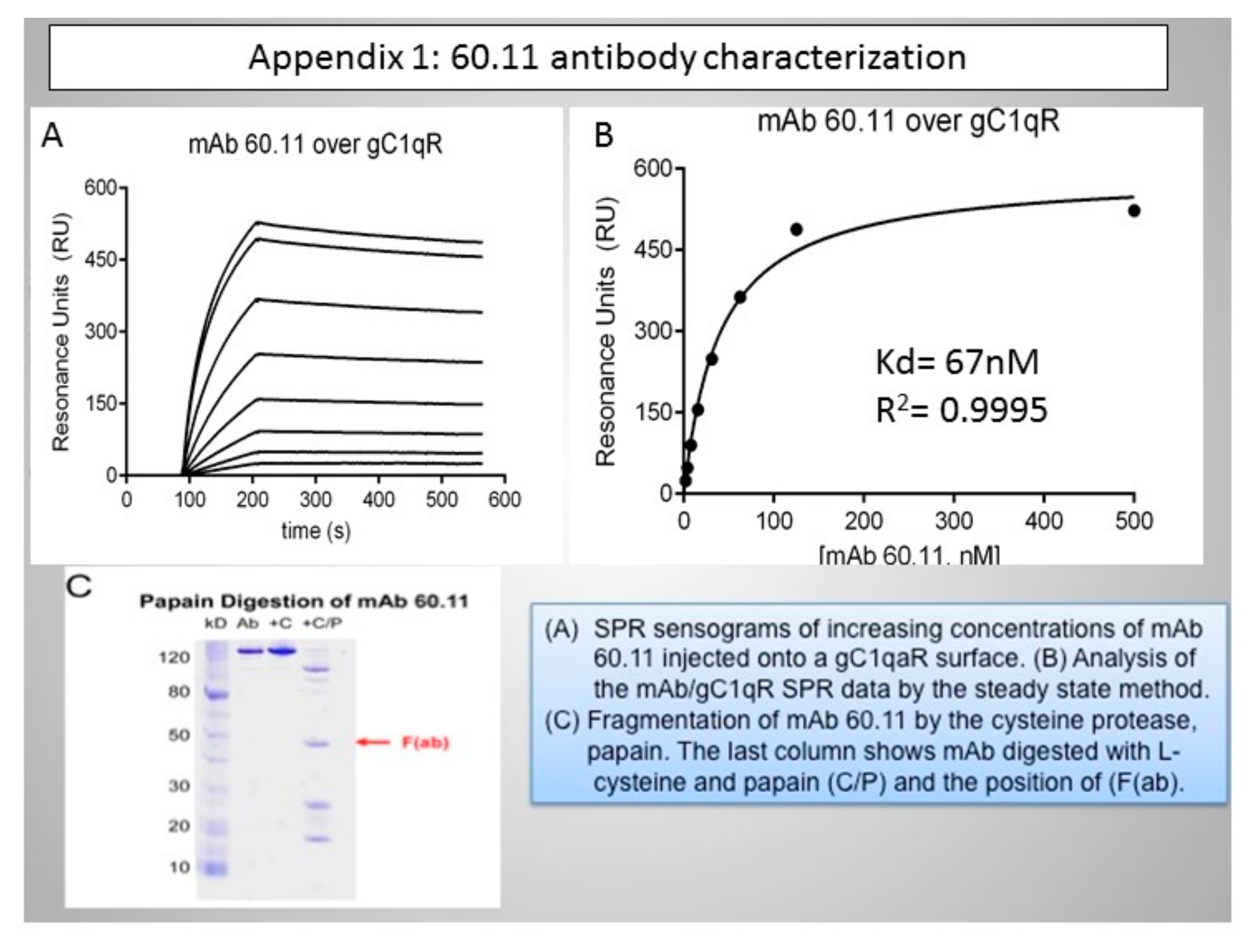 Antibodies 09 00051 g0a1 Antibodies 09 00051 g0a1