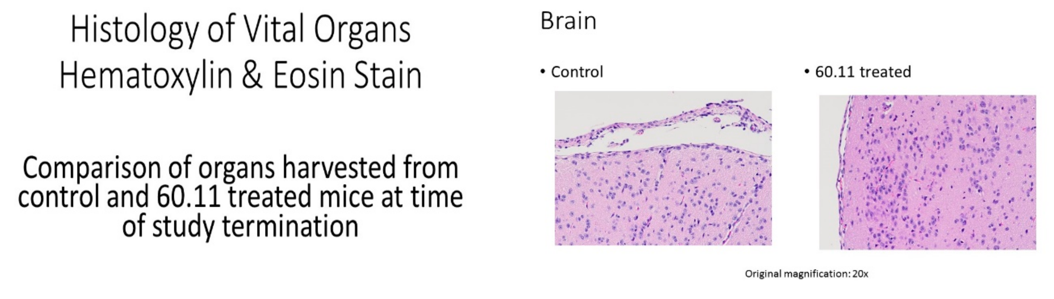 Antibodies 09 00051 g0a2a Antibodies 09 00051 g0a2a