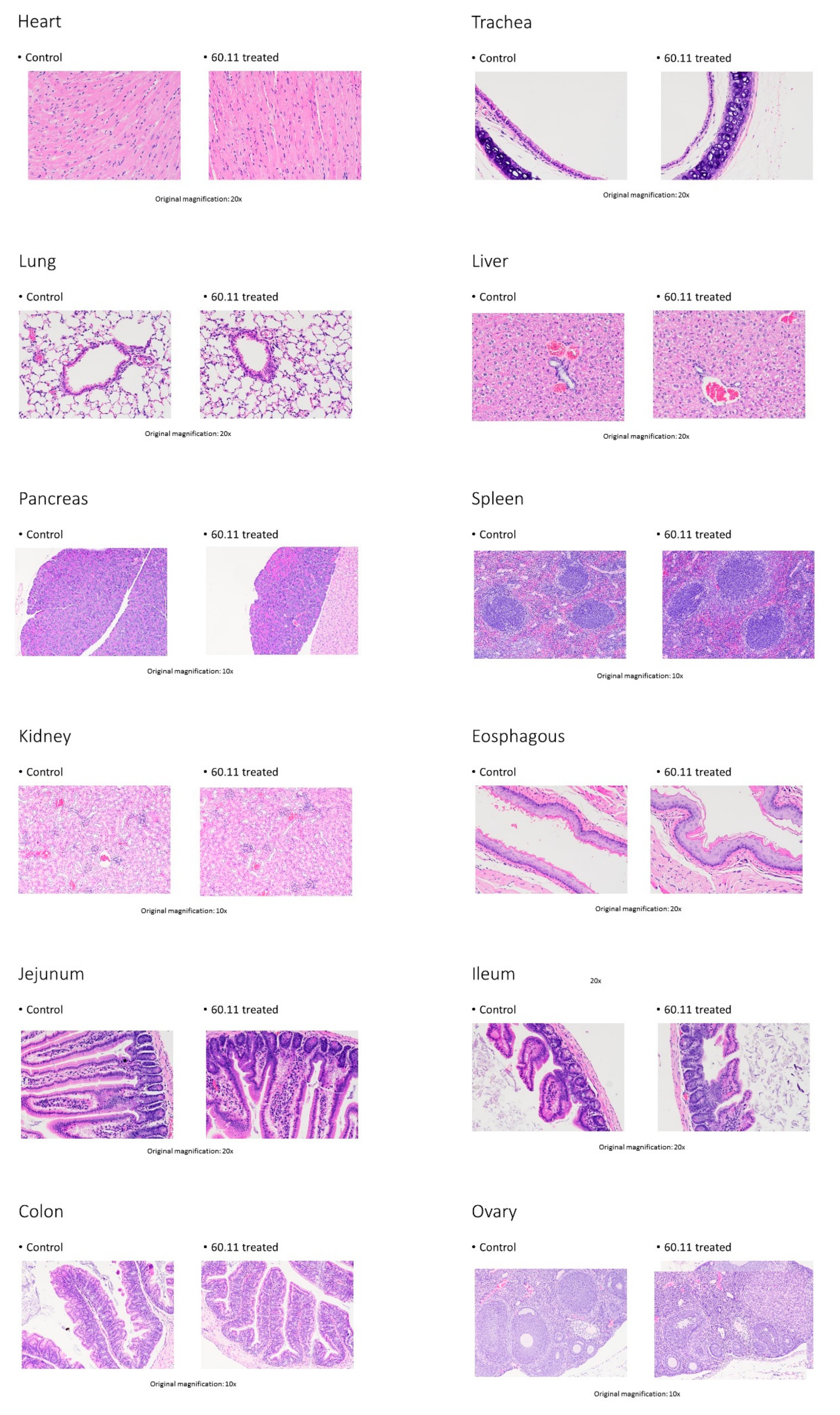 Antibodies 09 00051 g0a2b Antibodies 09 00051 g0a2b