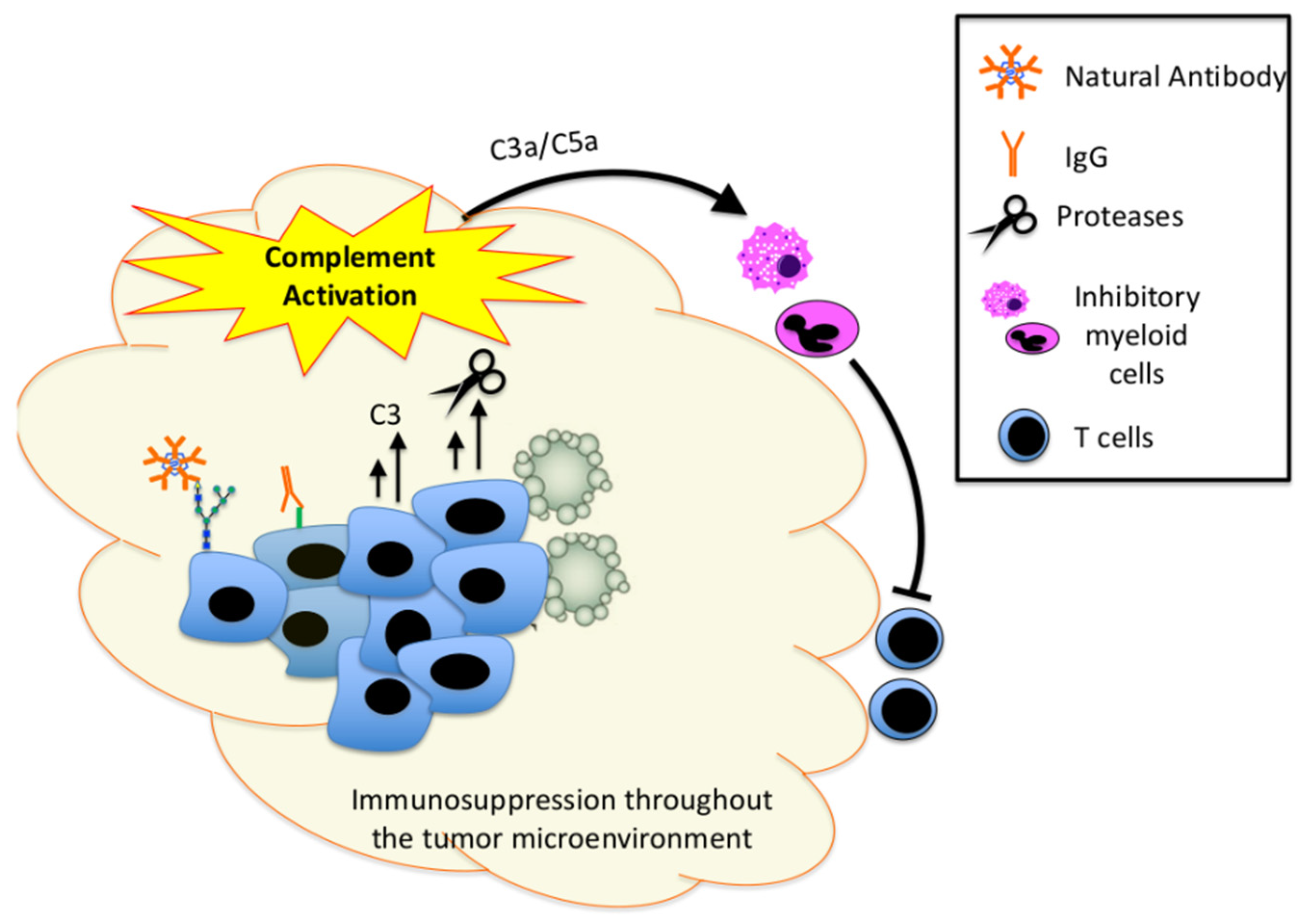Antibodies 09 00061 g002 Antibodies 09 00061 g002