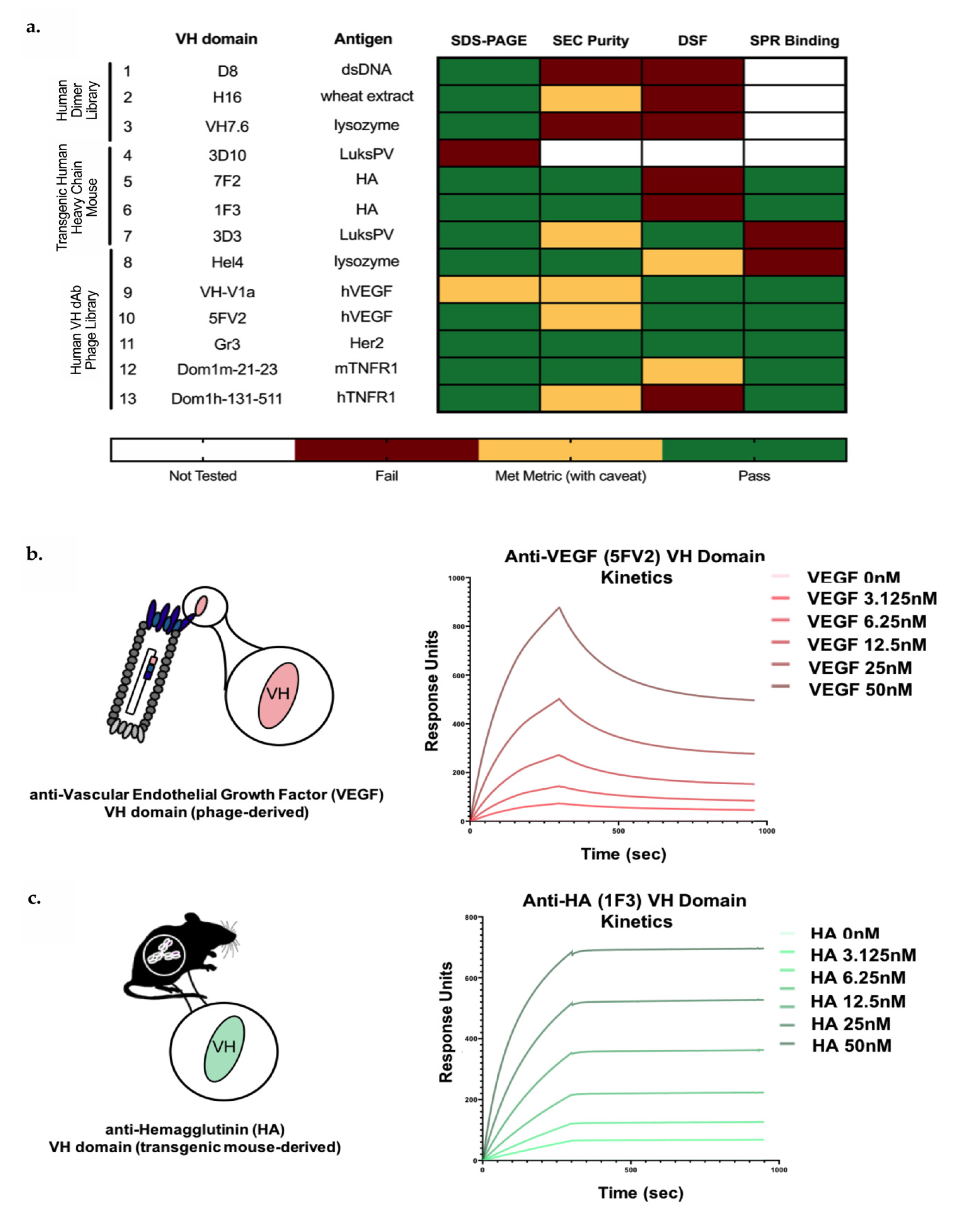 Antibodies 09 00062 g002 Antibodies 09 00062 g002