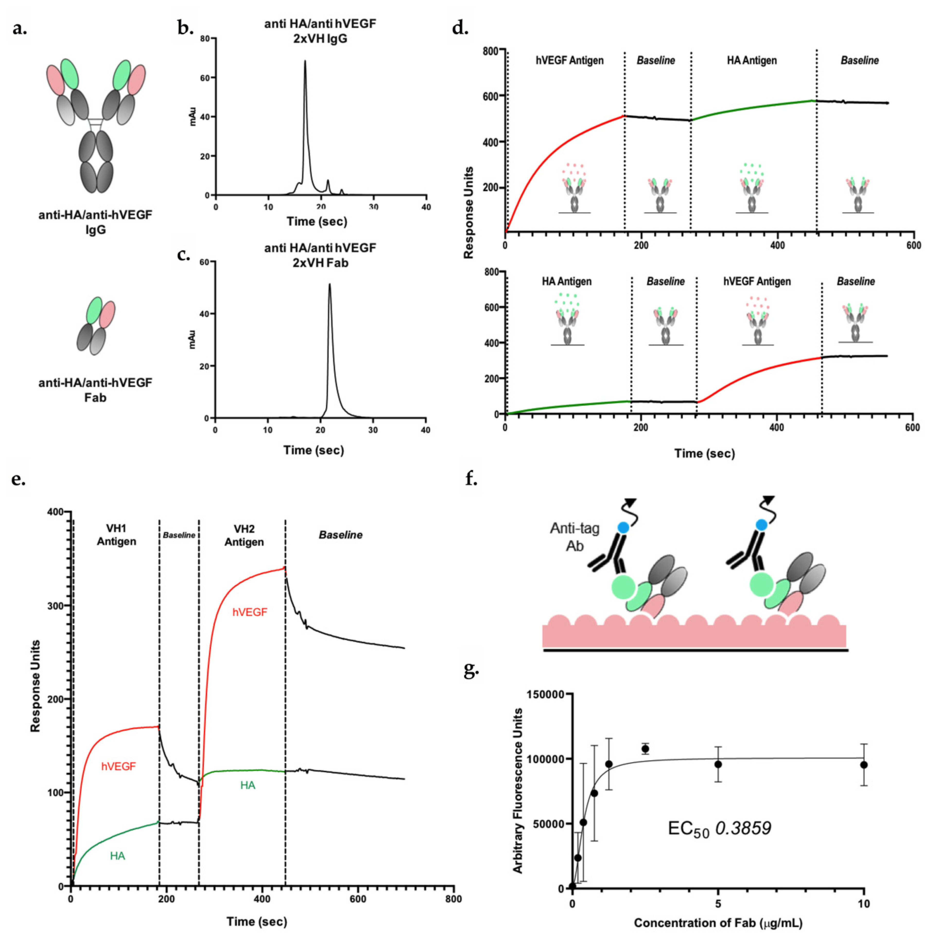 Antibodies 09 00062 g004 Antibodies 09 00062 g004
