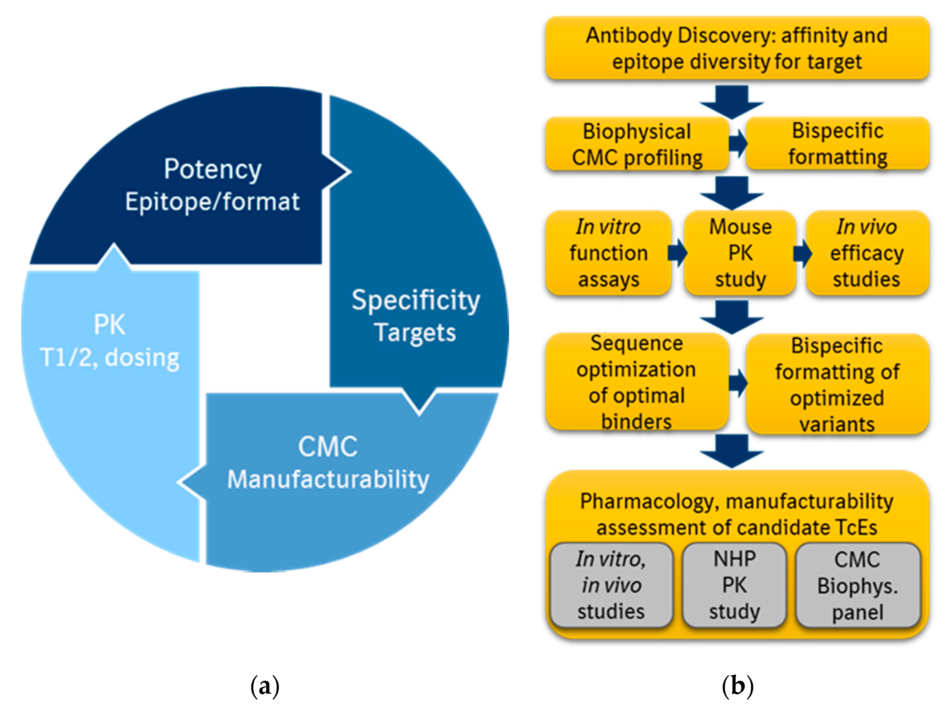 Antibodies 09 00065 g003 Antibodies 09 00065 g003