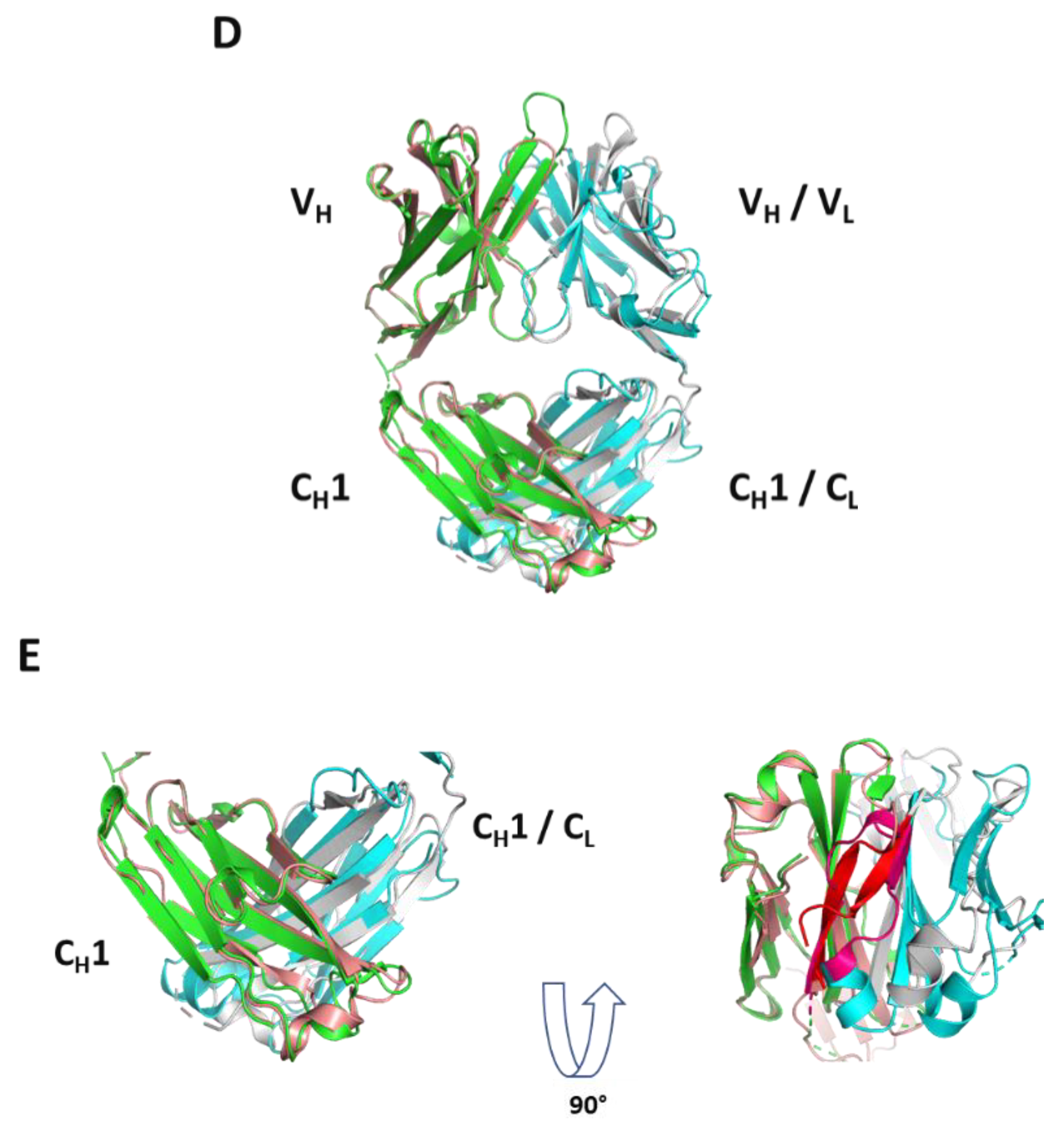 Antibodies 09 00066 g006b