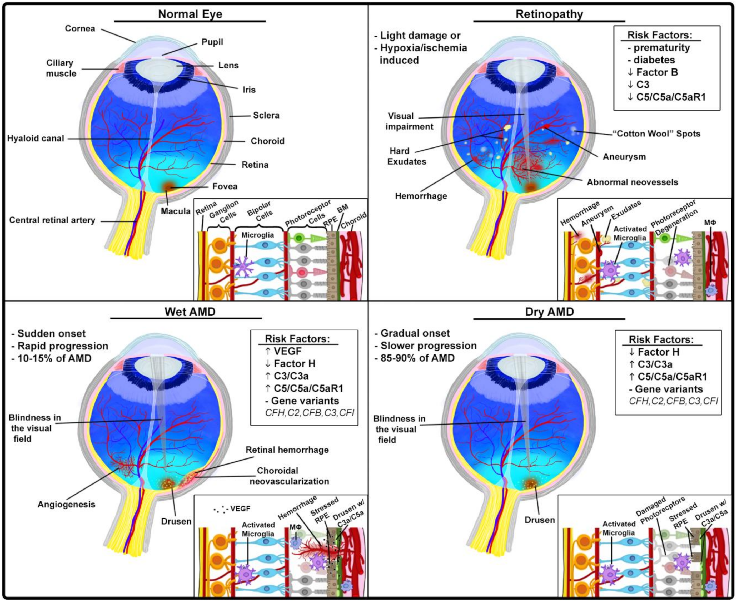 Antibodies 09 00067 g003