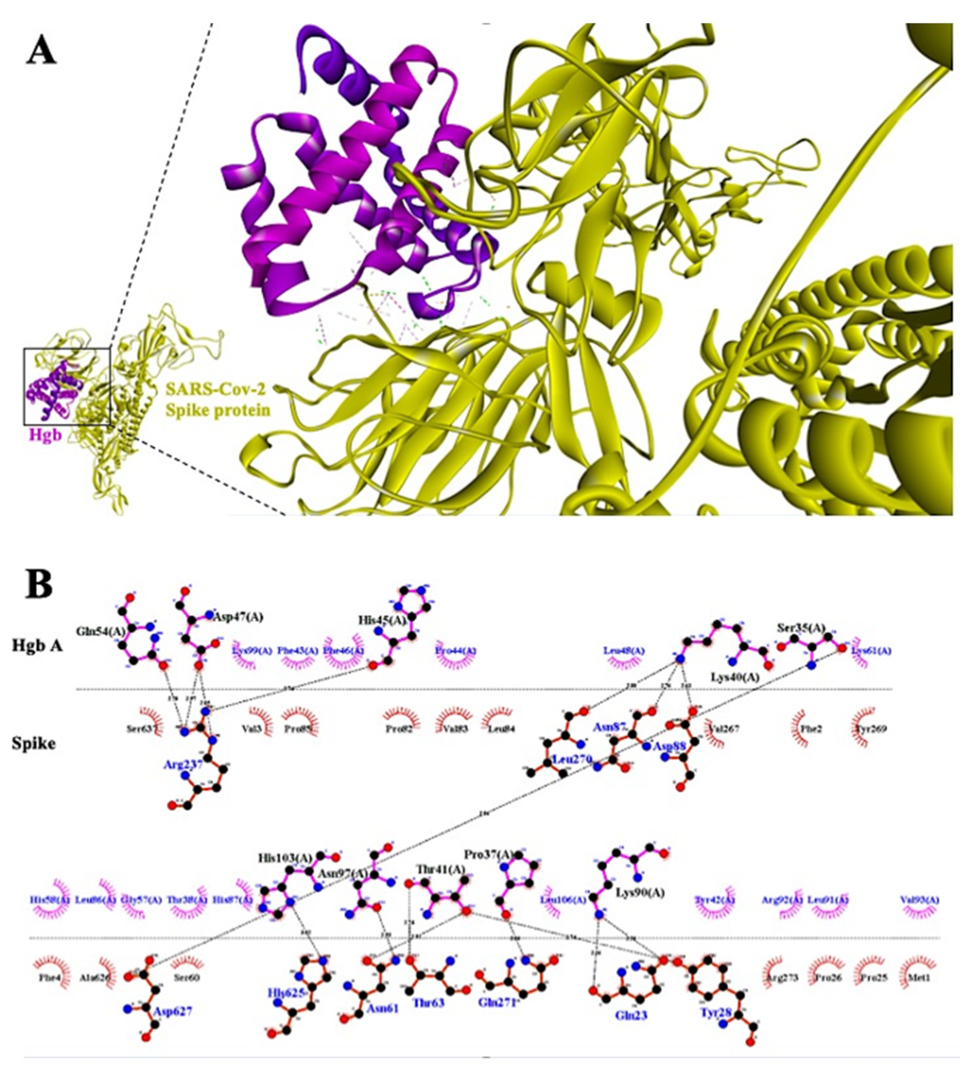 Antibodies 10 00003 g003 Antibodies 10 00003 g003