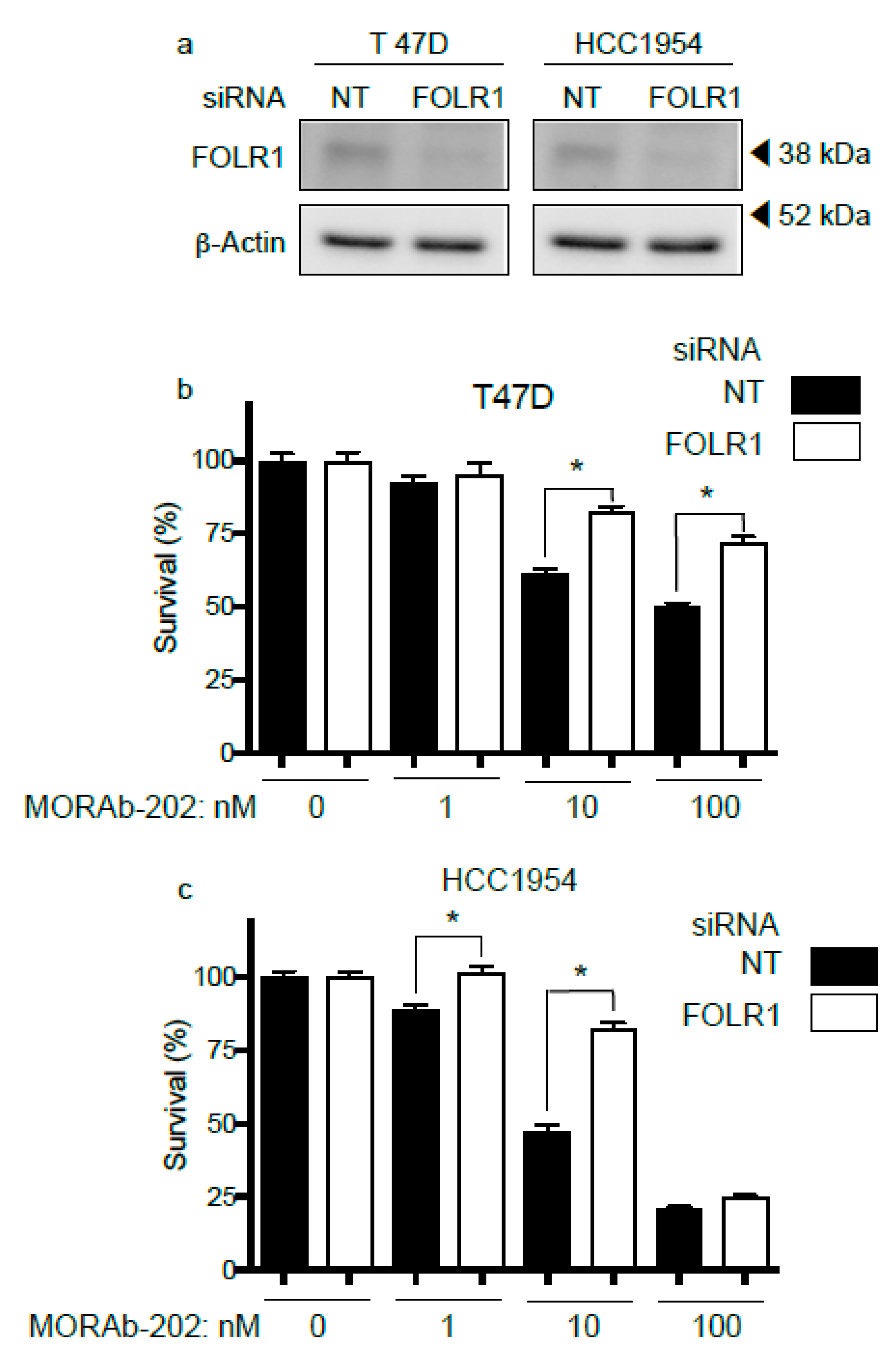Antibodies 10 00006 g003 Antibodies 10 00006 g003