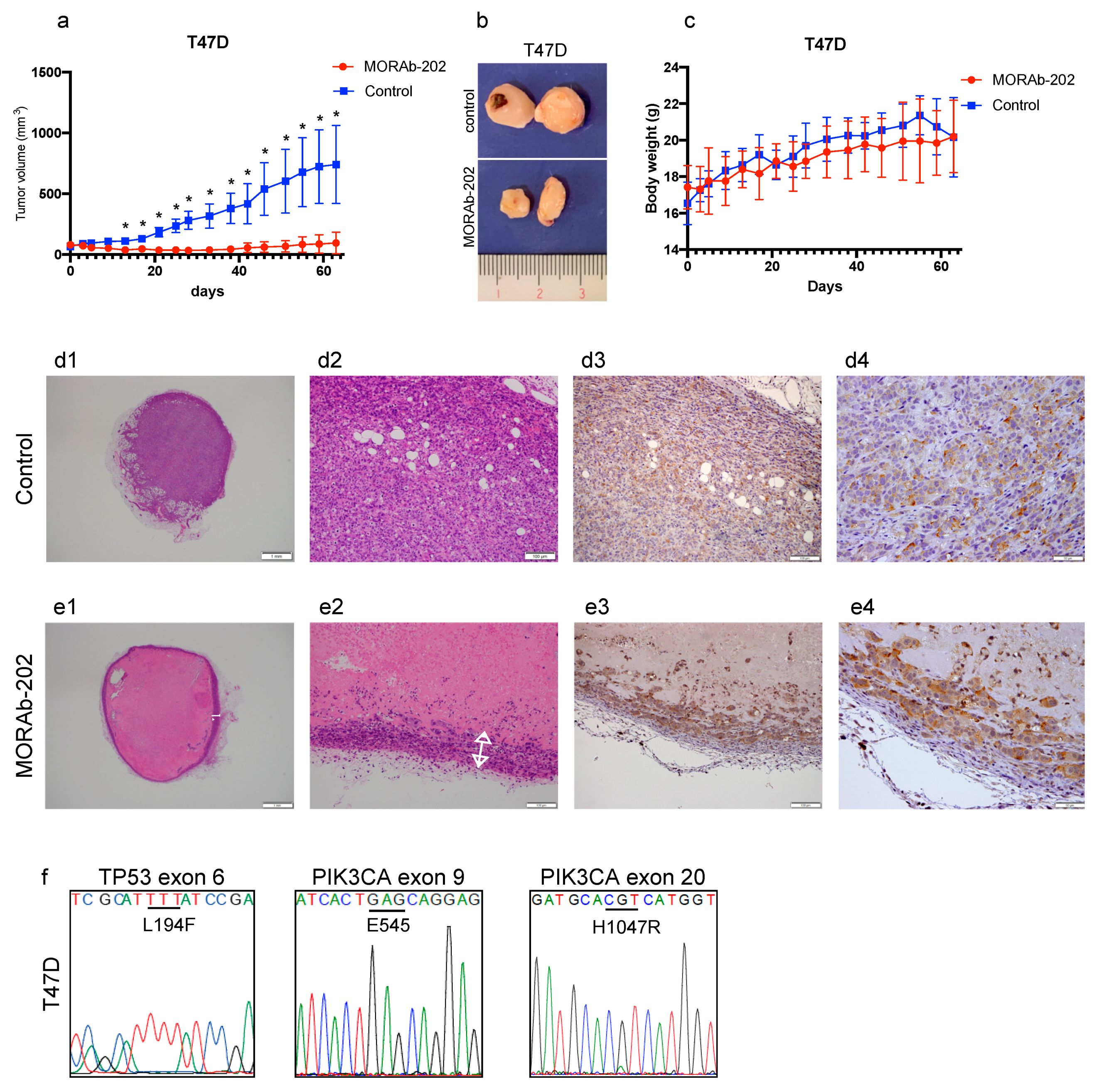 Antibodies 10 00006 g006 Antibodies 10 00006 g006