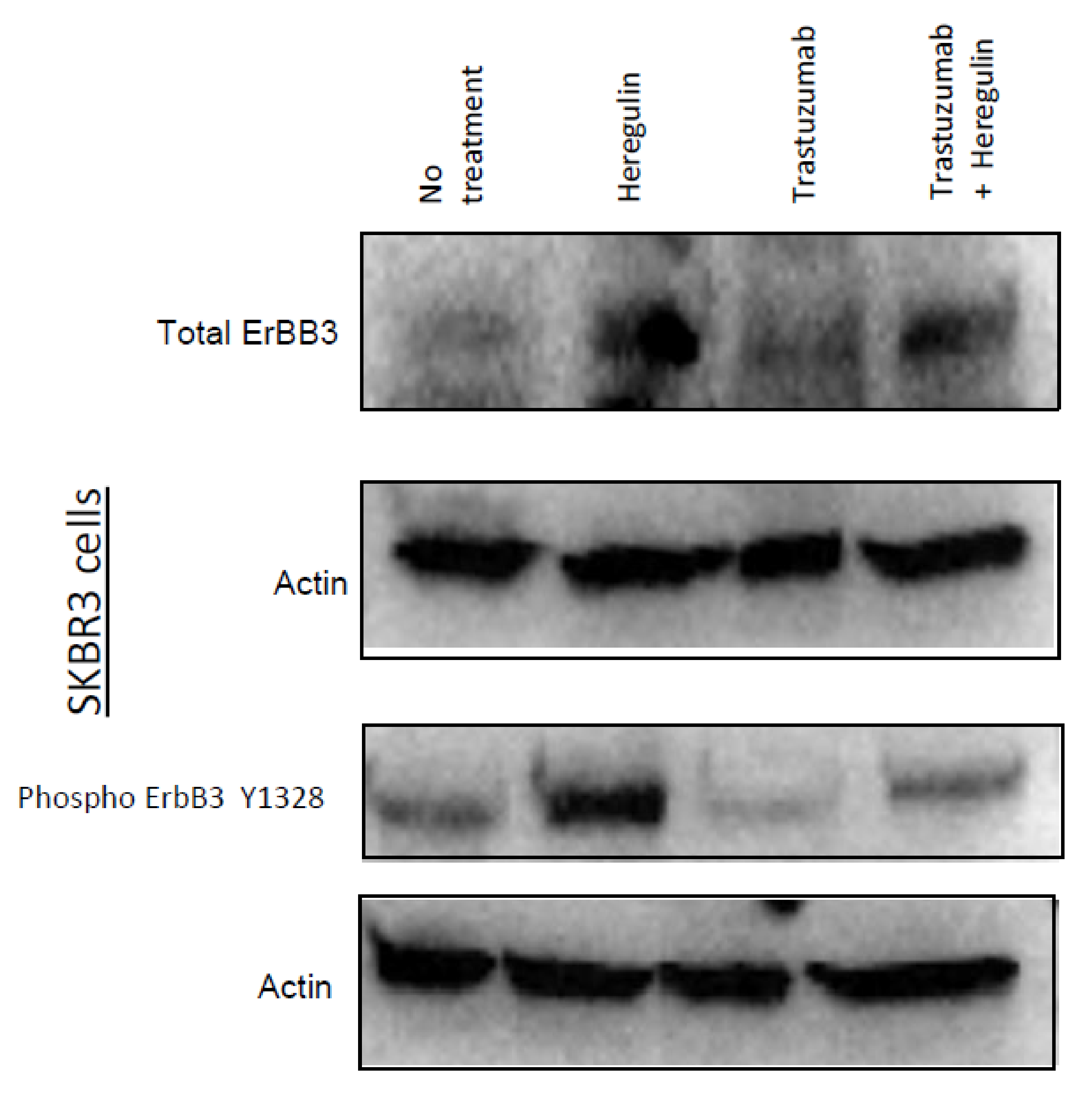 Antibodies 10 00007 g004