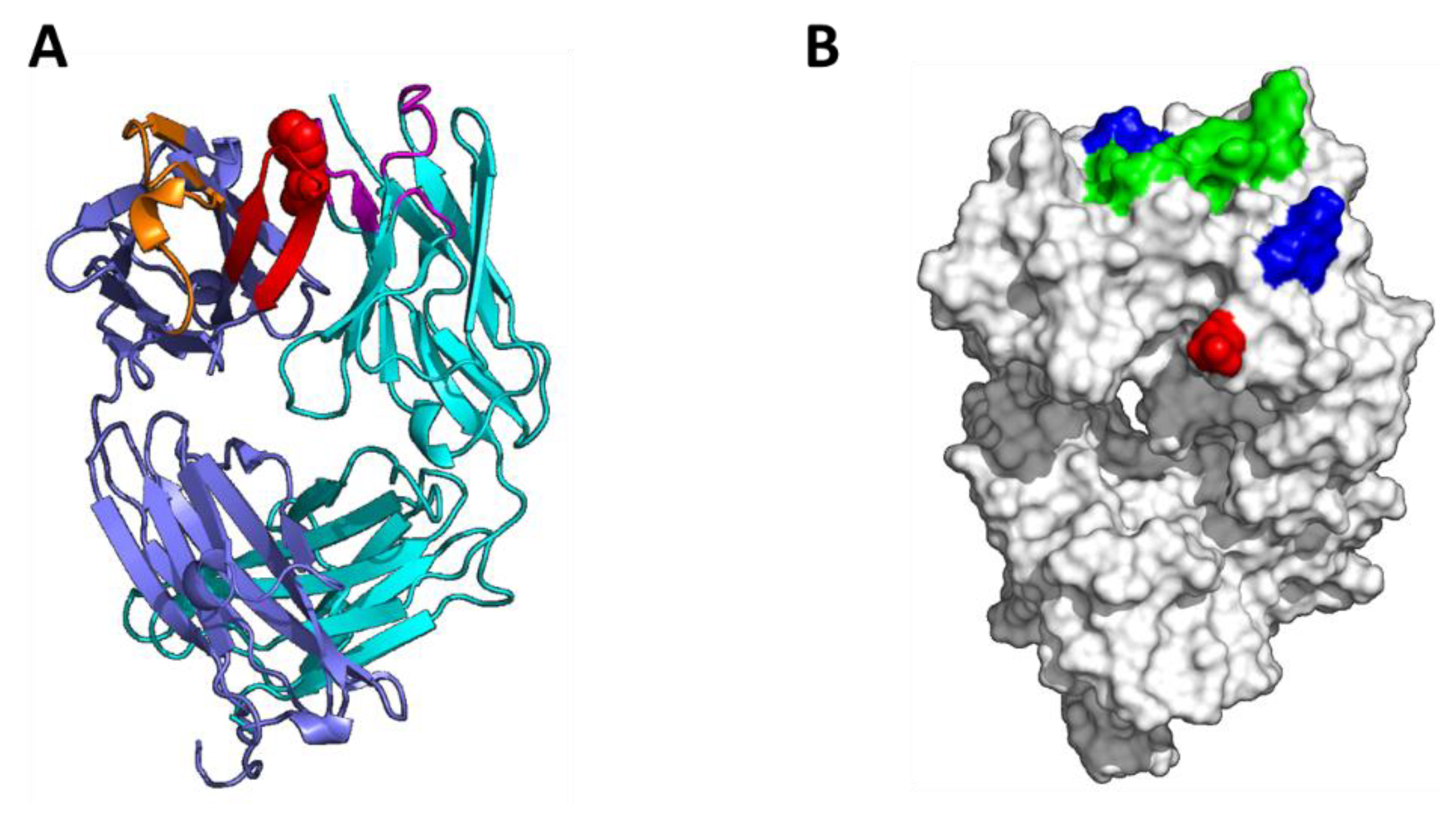 Antibodies 10 00008 g005a Antibodies 10 00008 g005a