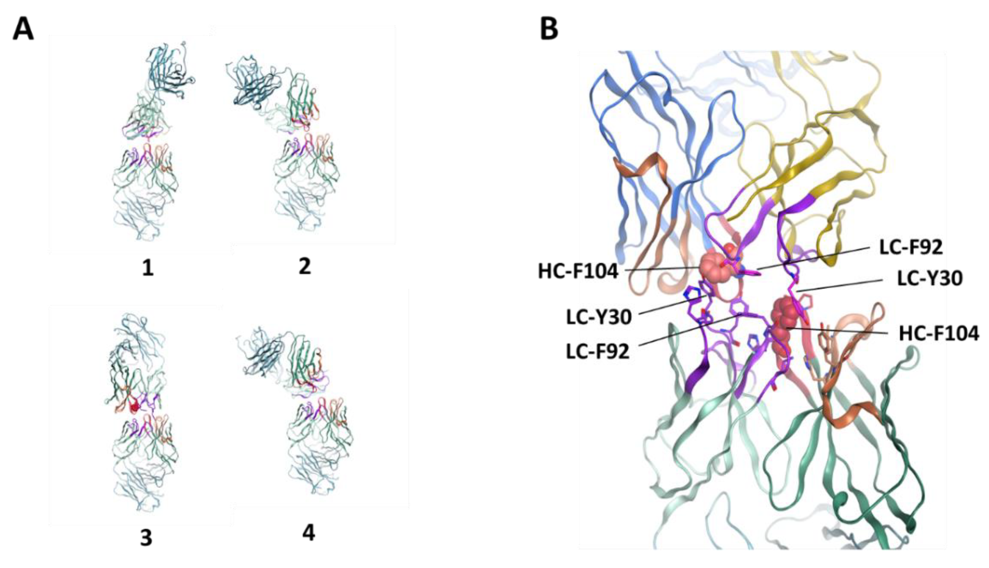 Antibodies 10 00008 g006 Antibodies 10 00008 g006
