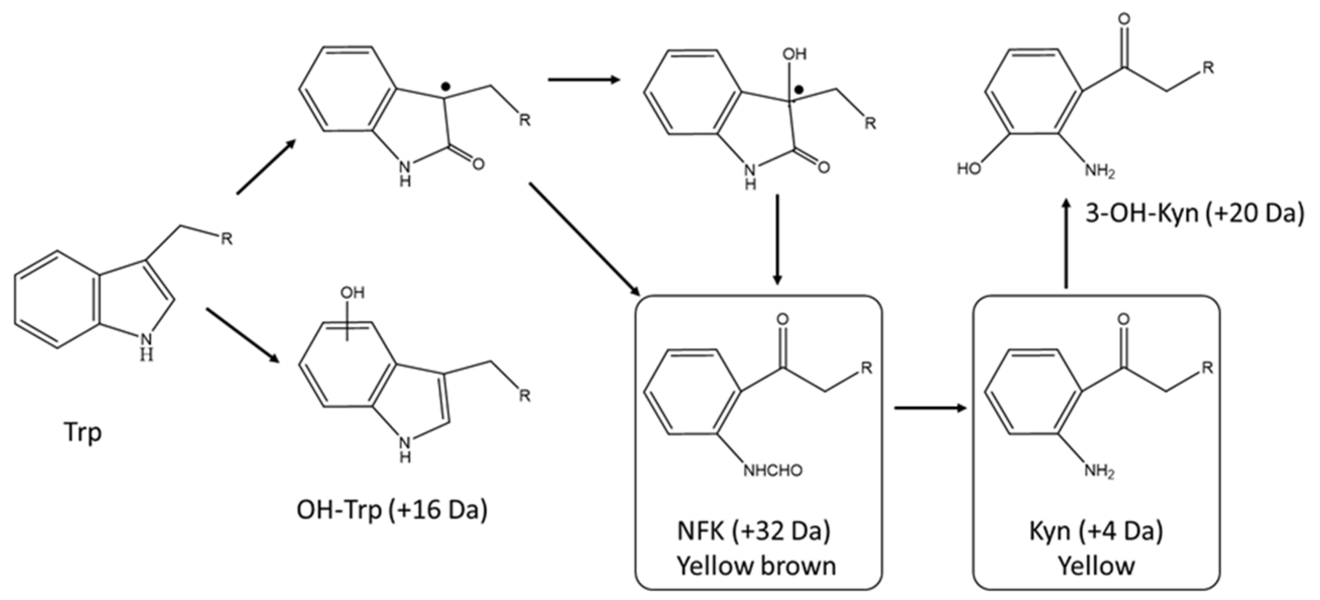 Antibodies 10 00021 g003 Antibodies 10 00021 g003