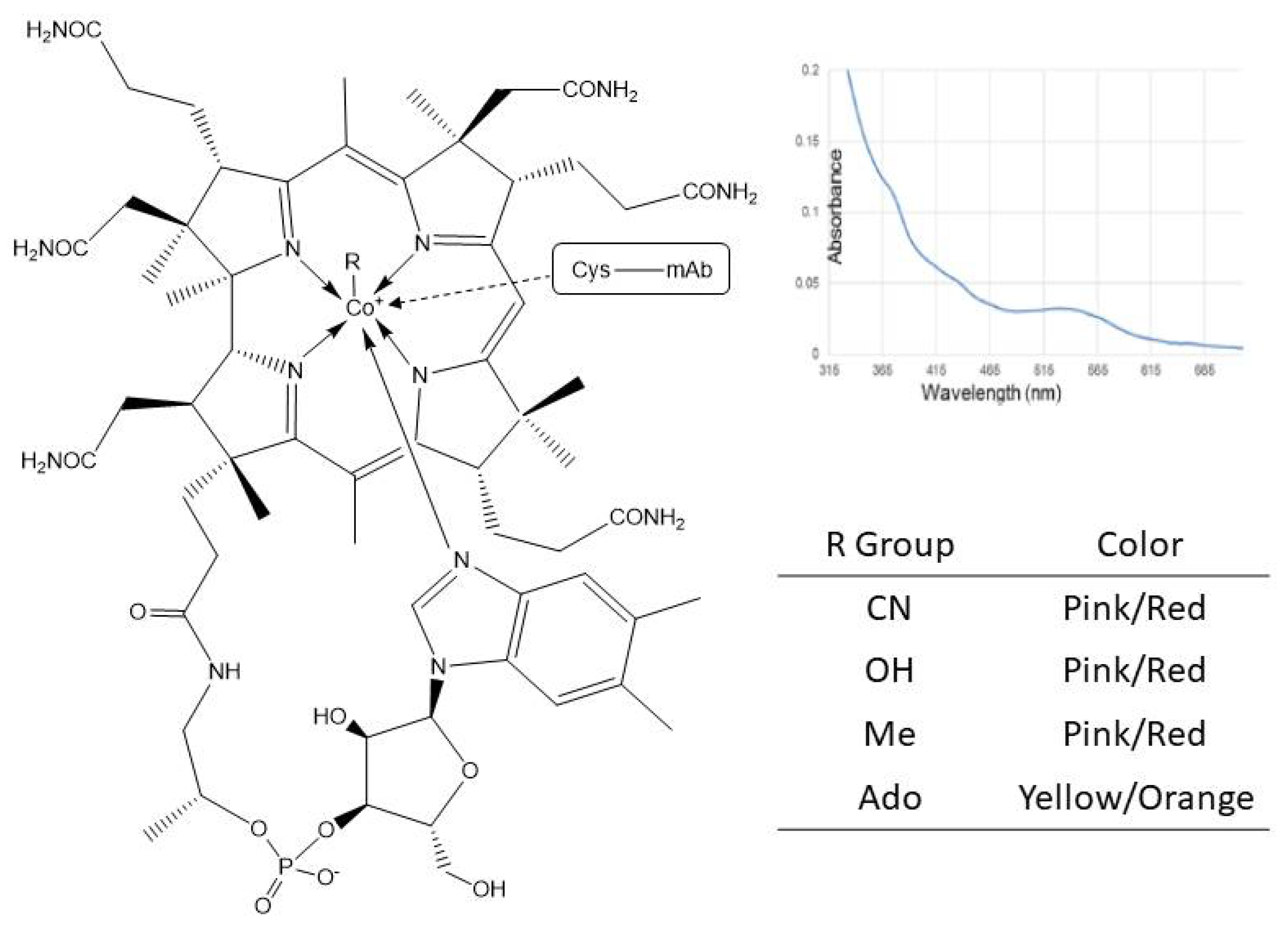 Antibodies 10 00021 g006 Antibodies 10 00021 g006