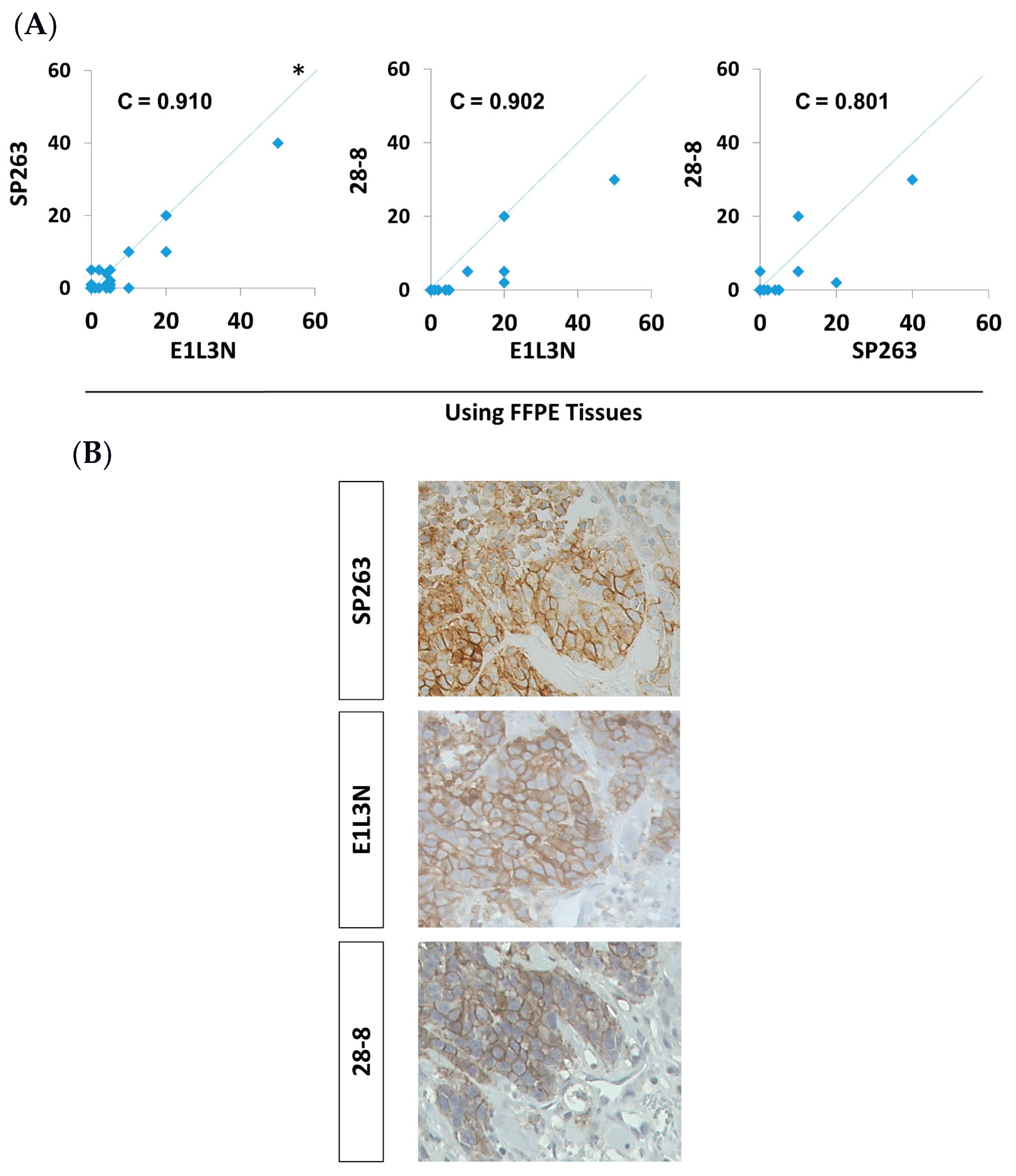 Antibodies 10 00024 g001