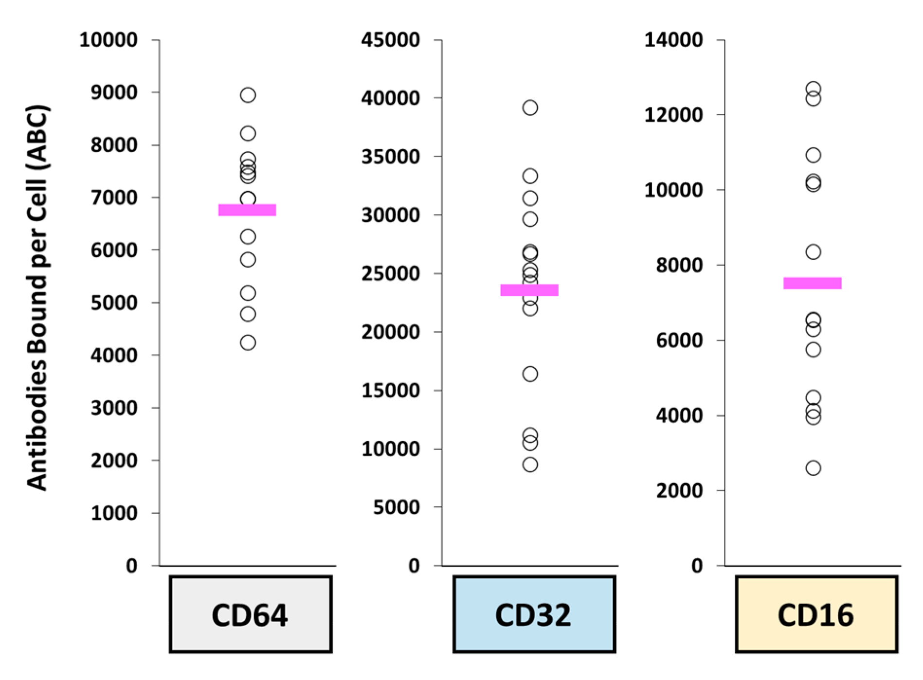Antibodies 10 00030 g004