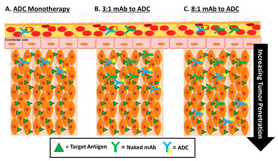 Antibodies | Free Full-Text | Importance and Considerations of 