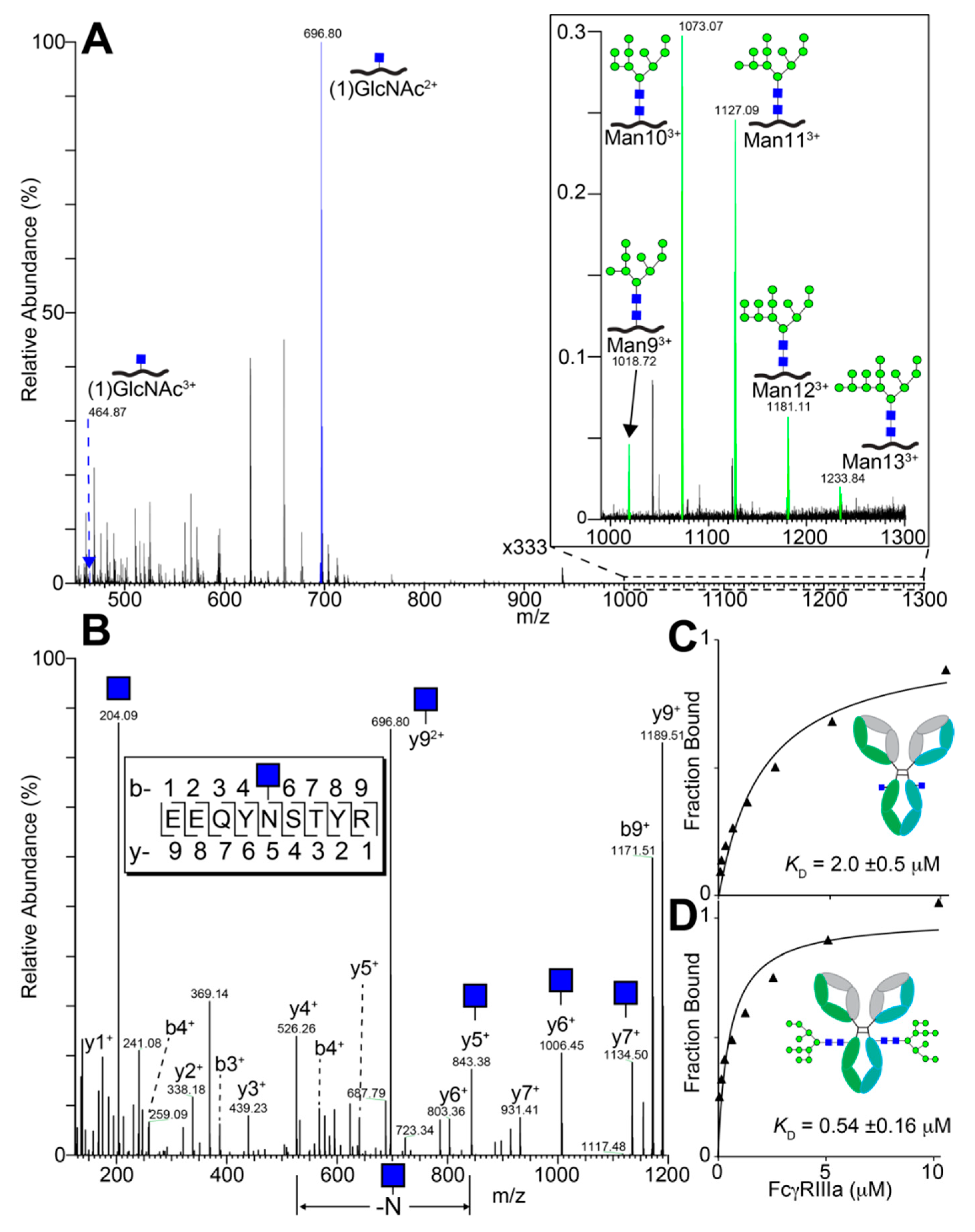 Antibodies 10 00038 g006