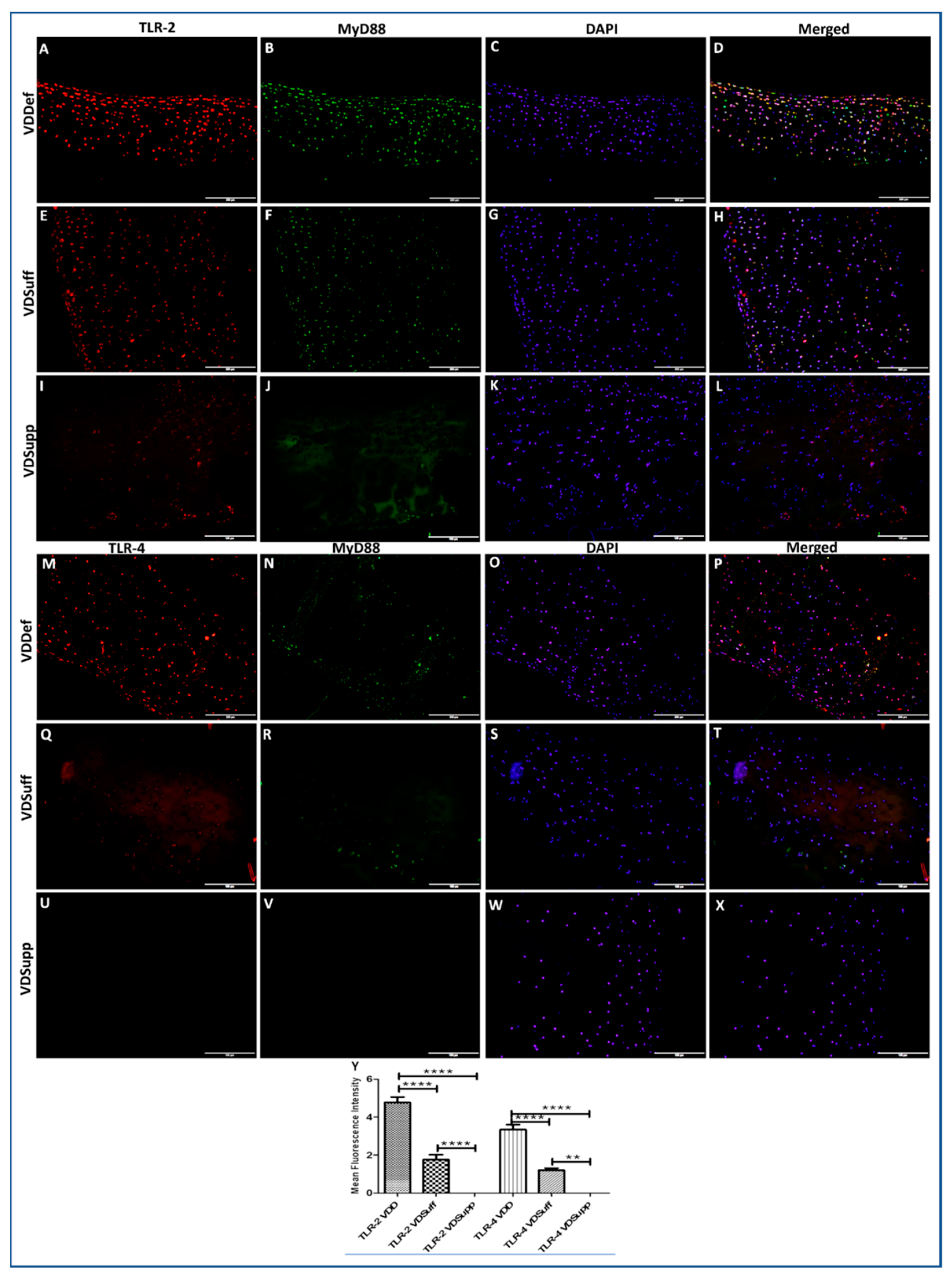 Antibodies 10 00041 g002 Antibodies 10 00041 g002
