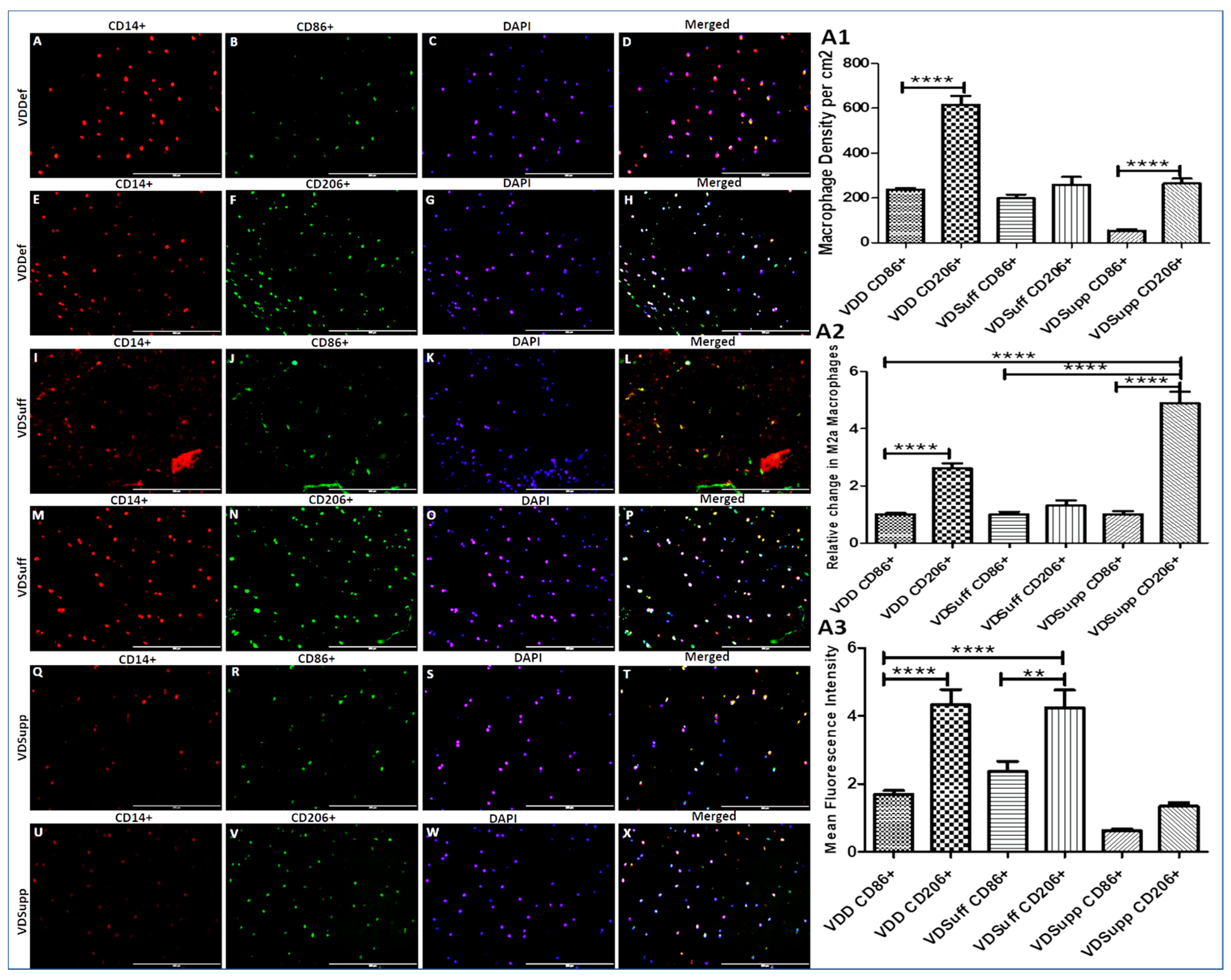 Antibodies 10 00041 g003 Antibodies 10 00041 g003