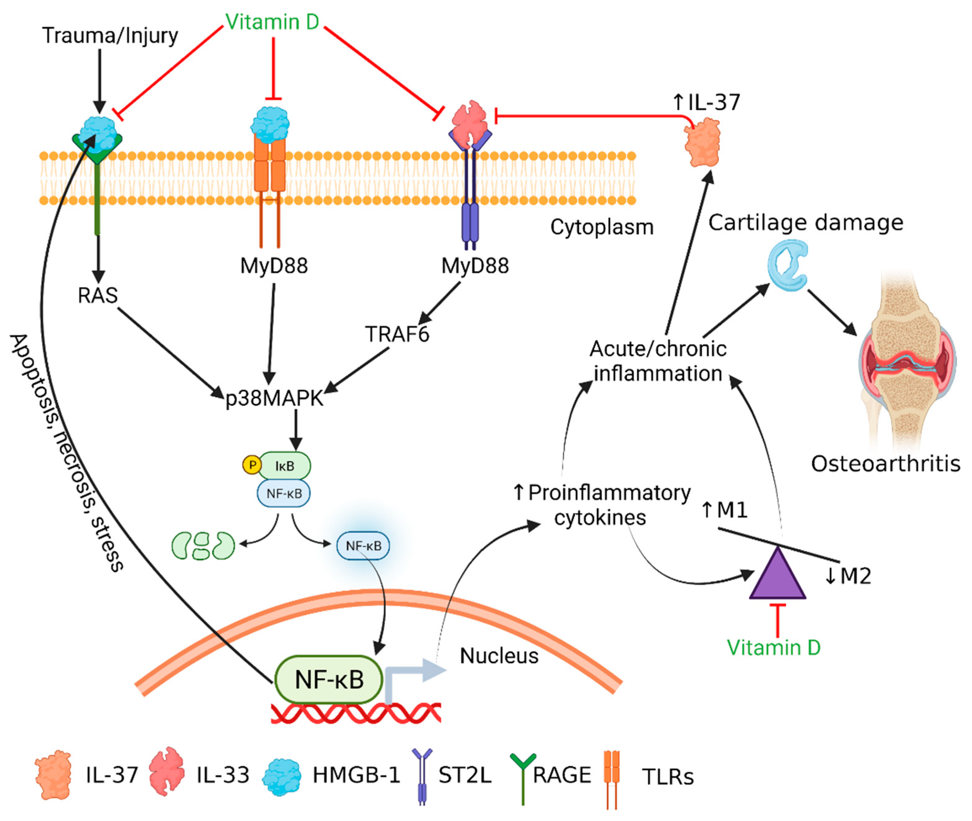 Antibodies 10 00041 g006 Antibodies 10 00041 g006