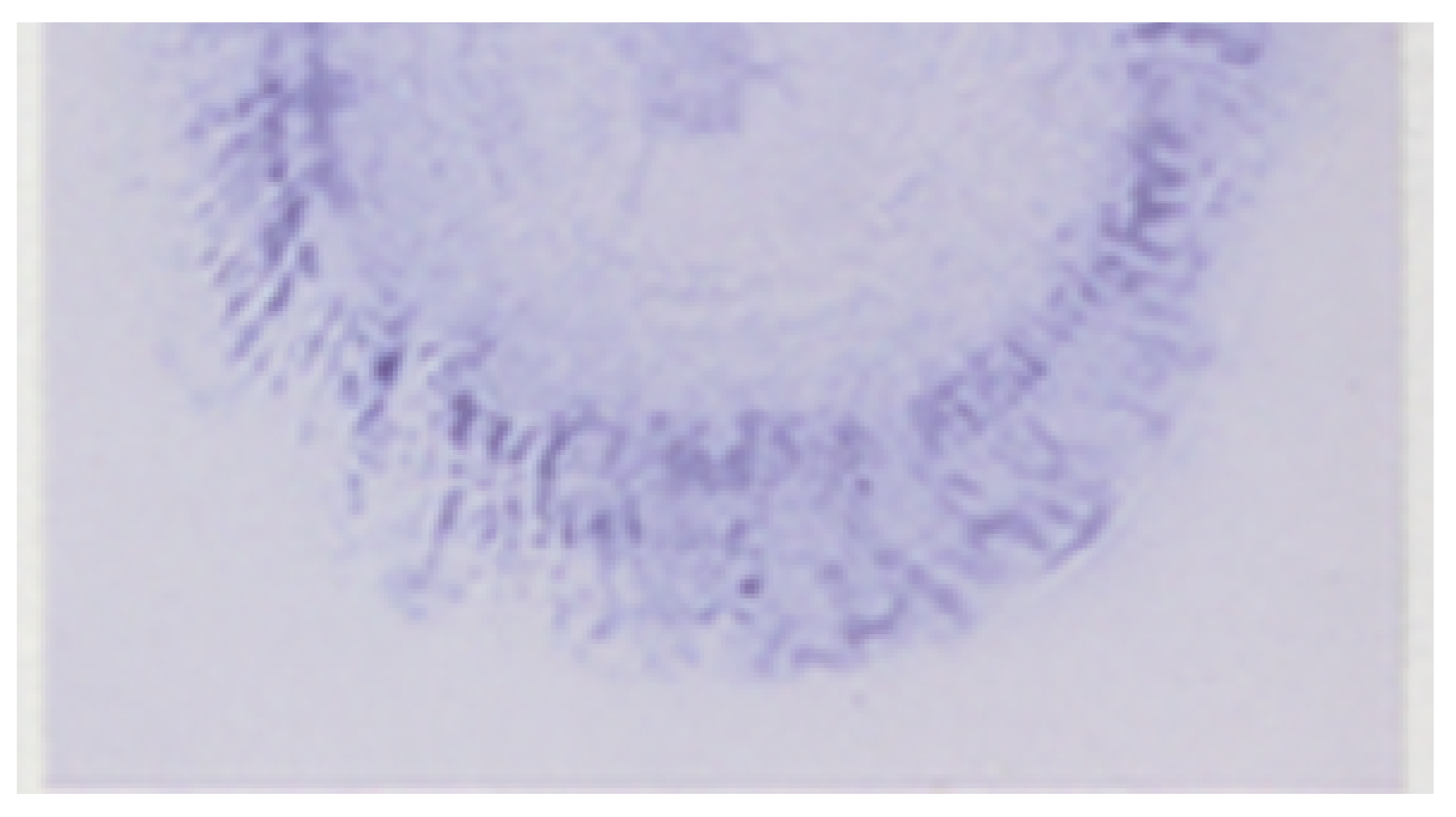 Antibodies 10 00043 g001 Antibodies 10 00043 g001