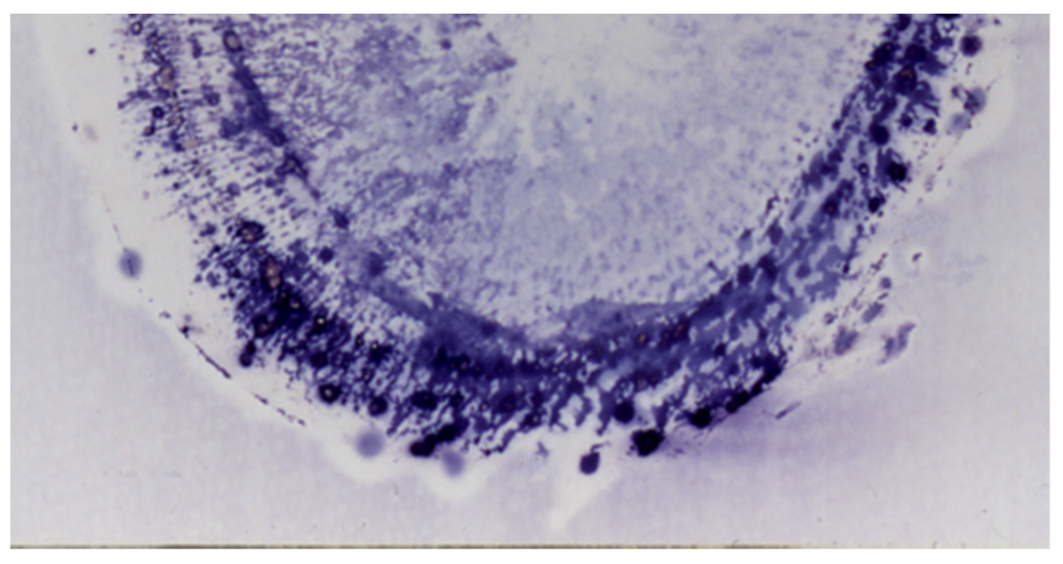 Antibodies 10 00043 g002 Antibodies 10 00043 g002