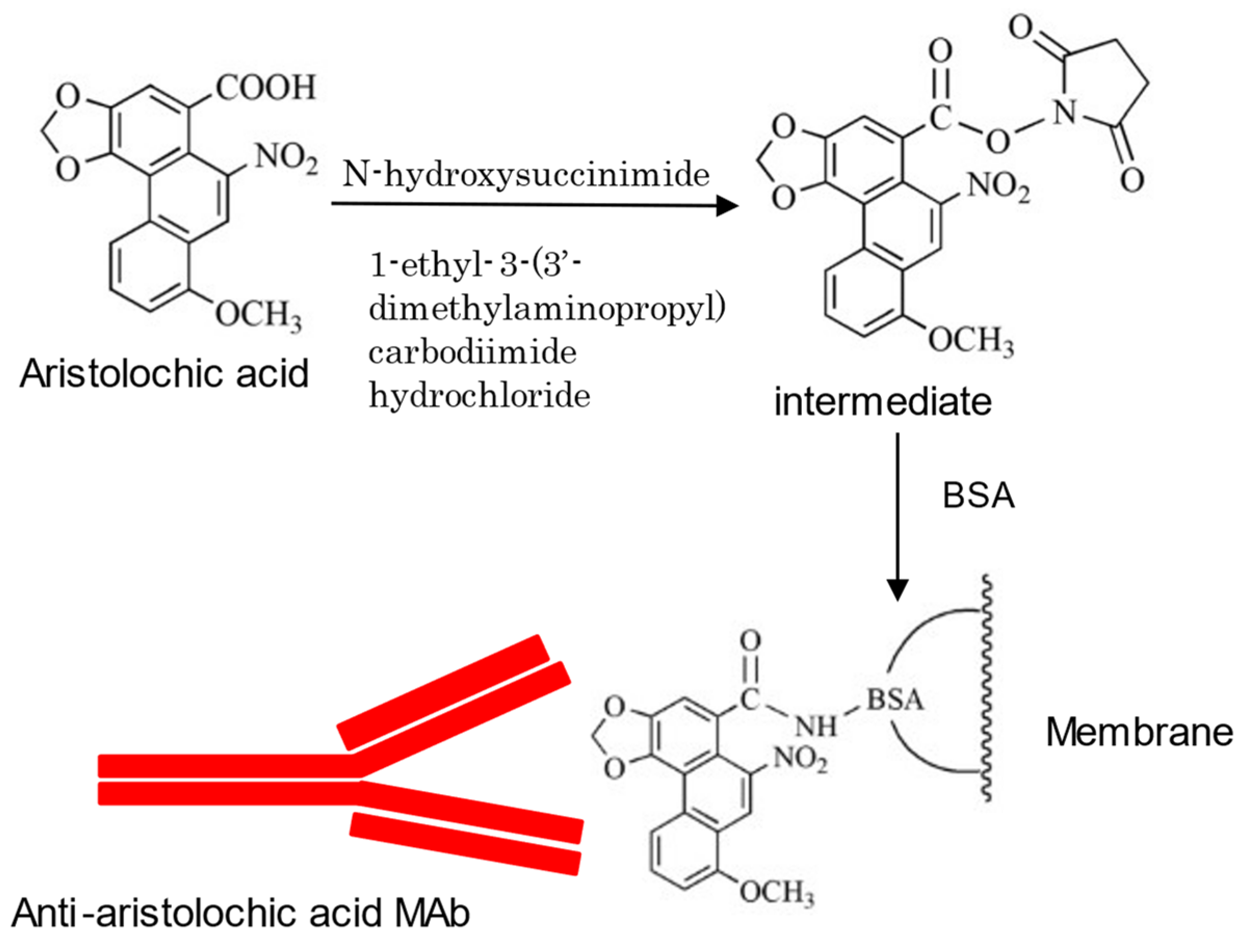 Antibodies 10 00043 g006 Antibodies 10 00043 g006
