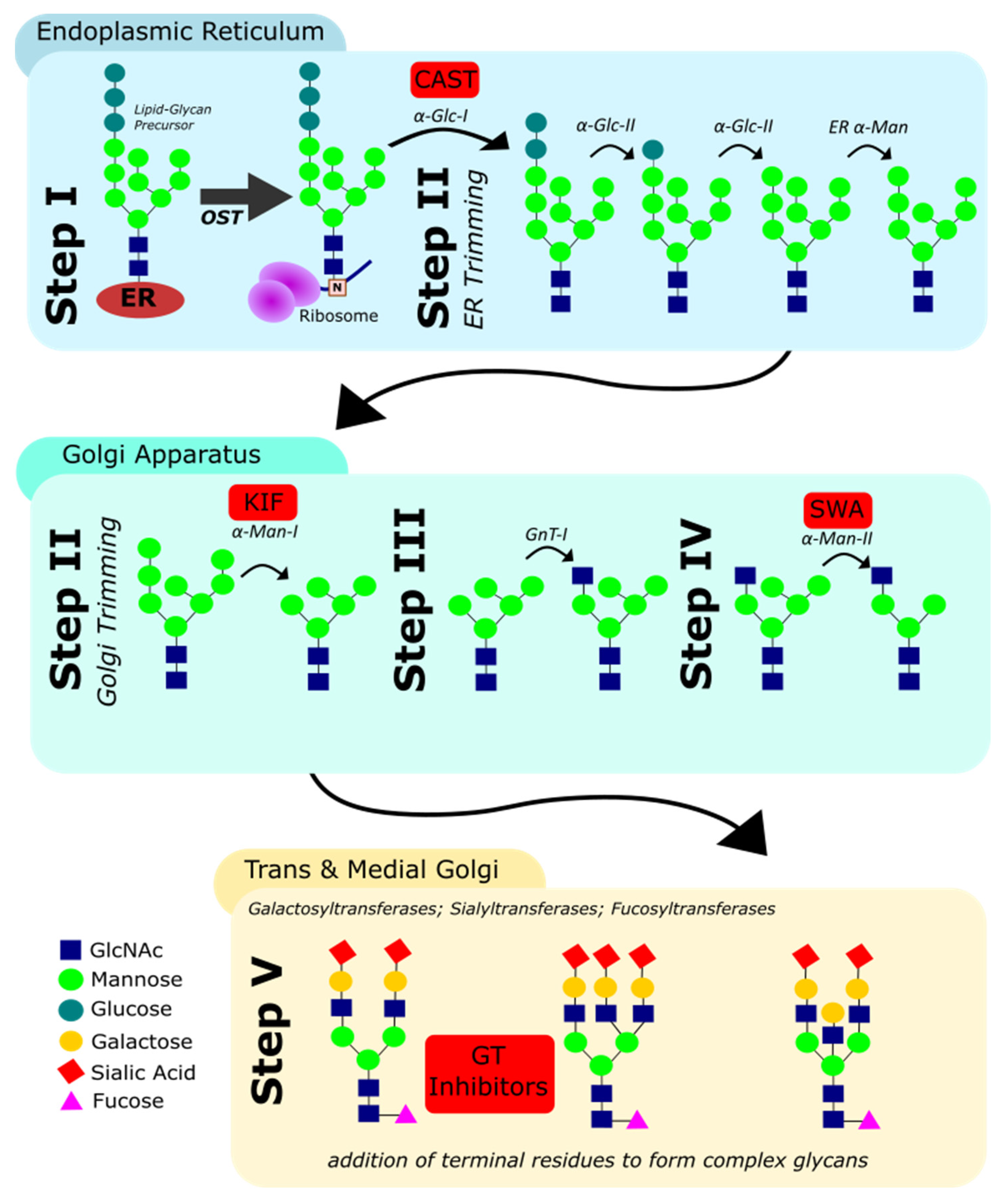 Antibodies 10 00044 g002 550