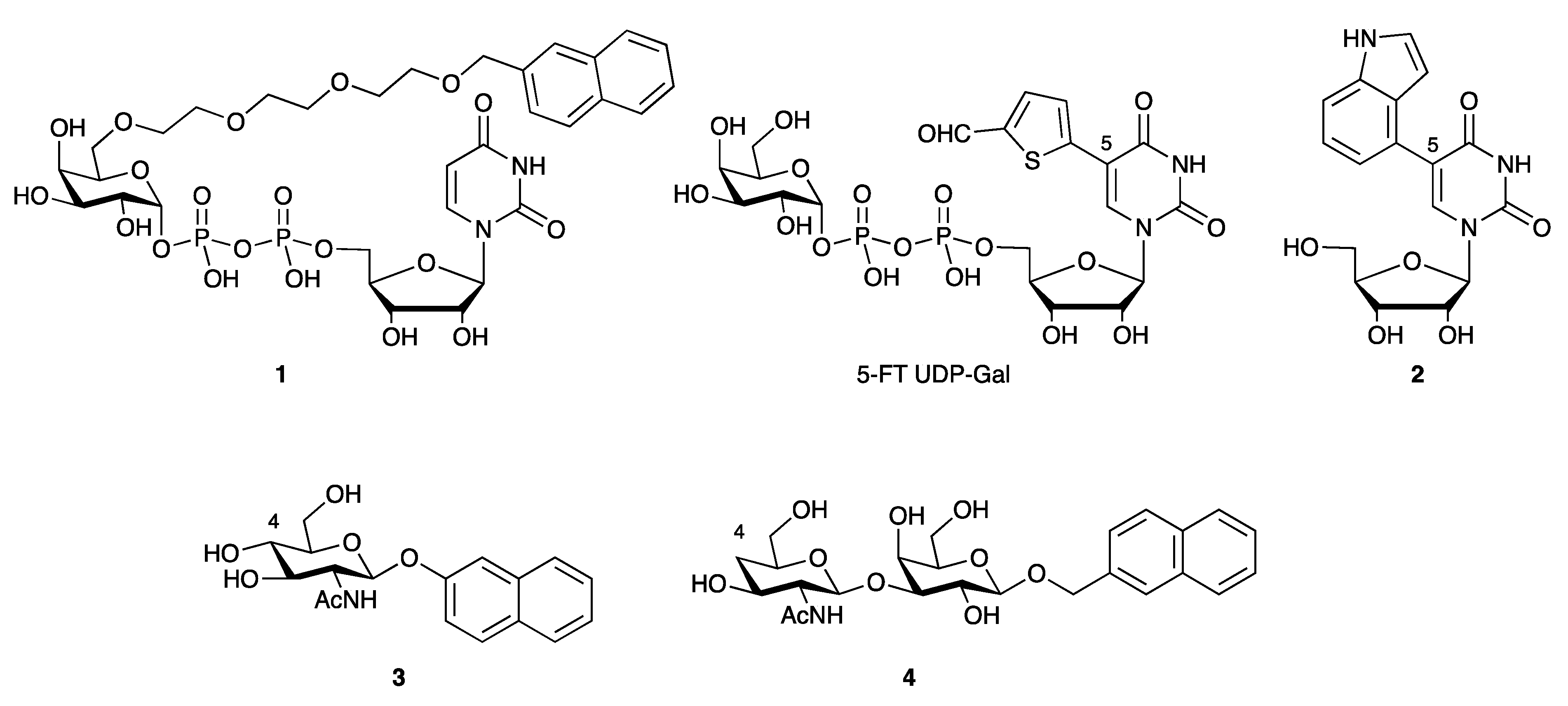 Antibodies 10 00044 g005 550