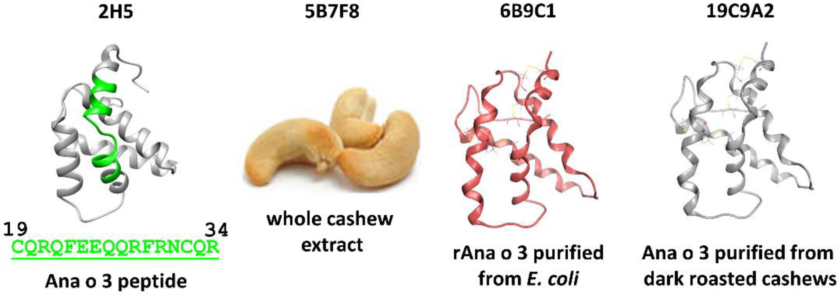 Antibodies 10 00046 g001 550