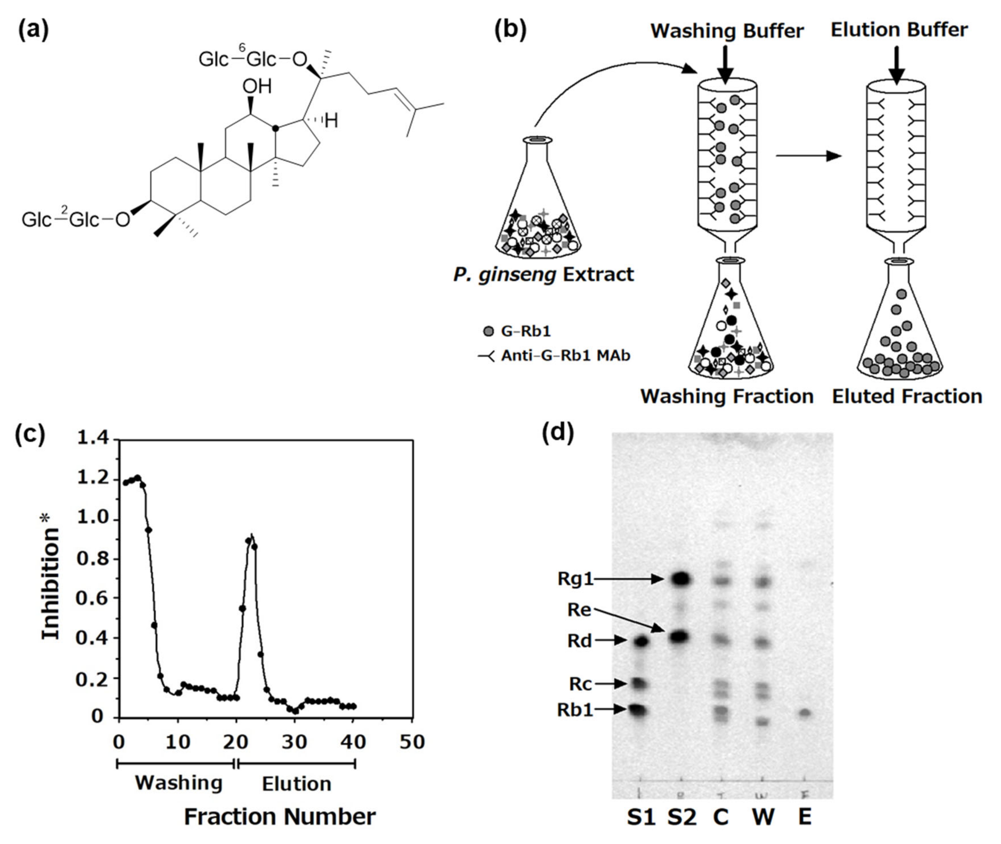 Antibodies 10 00048 g002 Antibodies 10 00048 g002