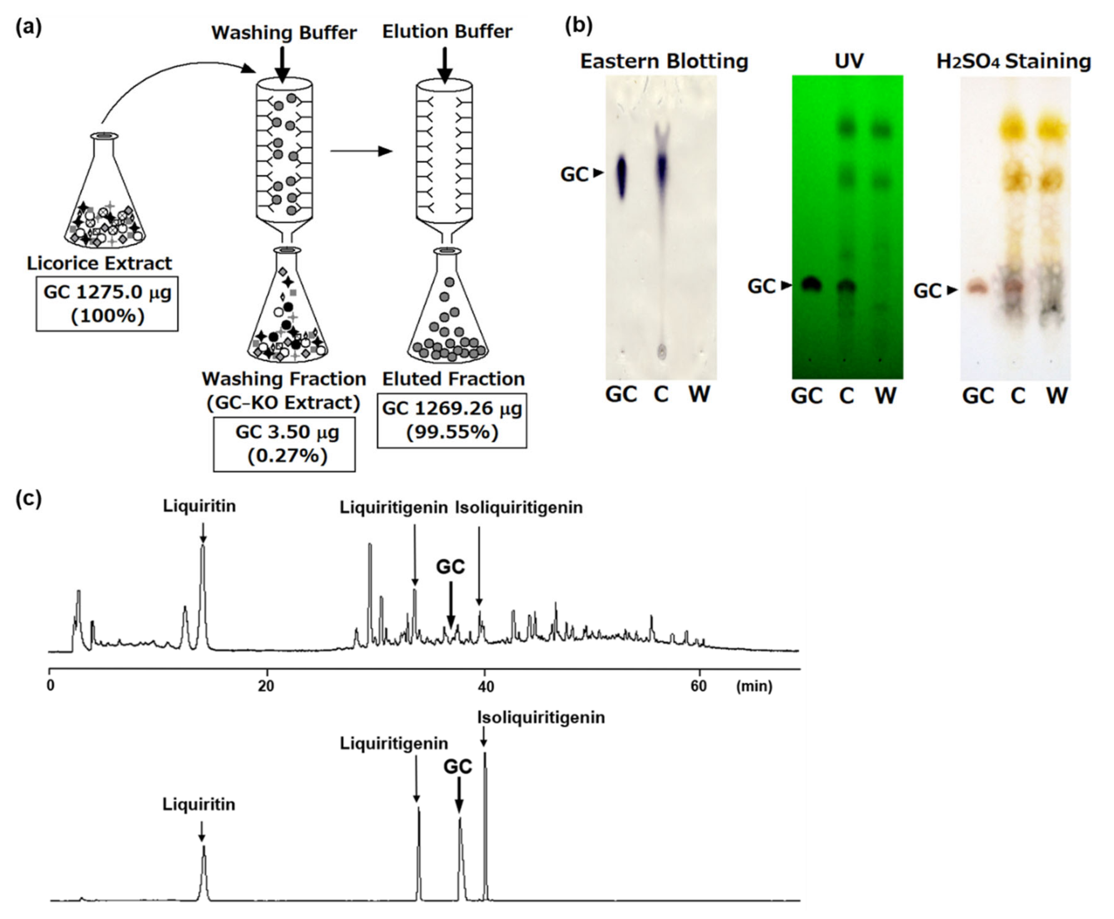 Antibodies 10 00048 g004 Antibodies 10 00048 g004