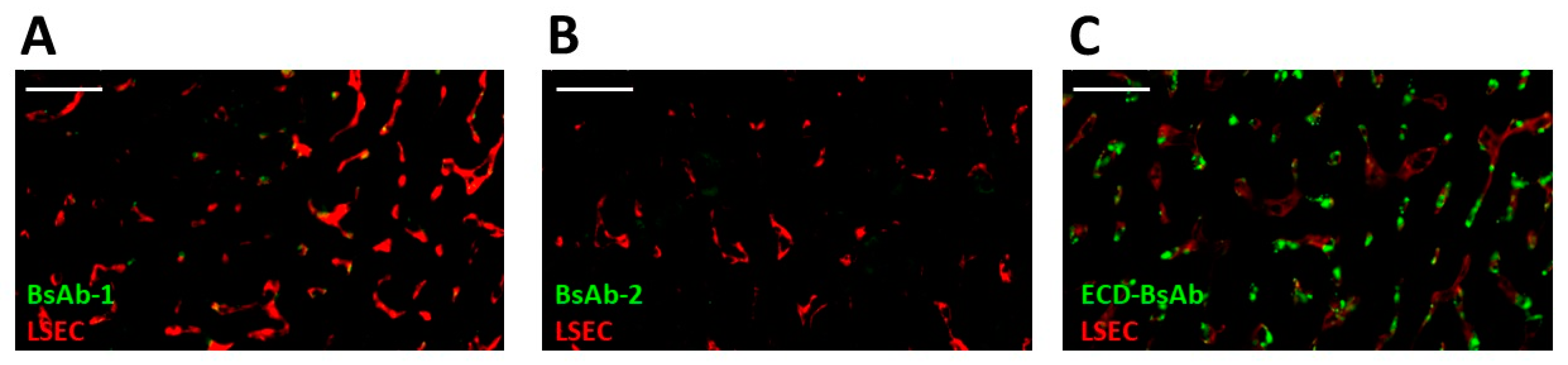 Antibodies 11 00002 g004 550
