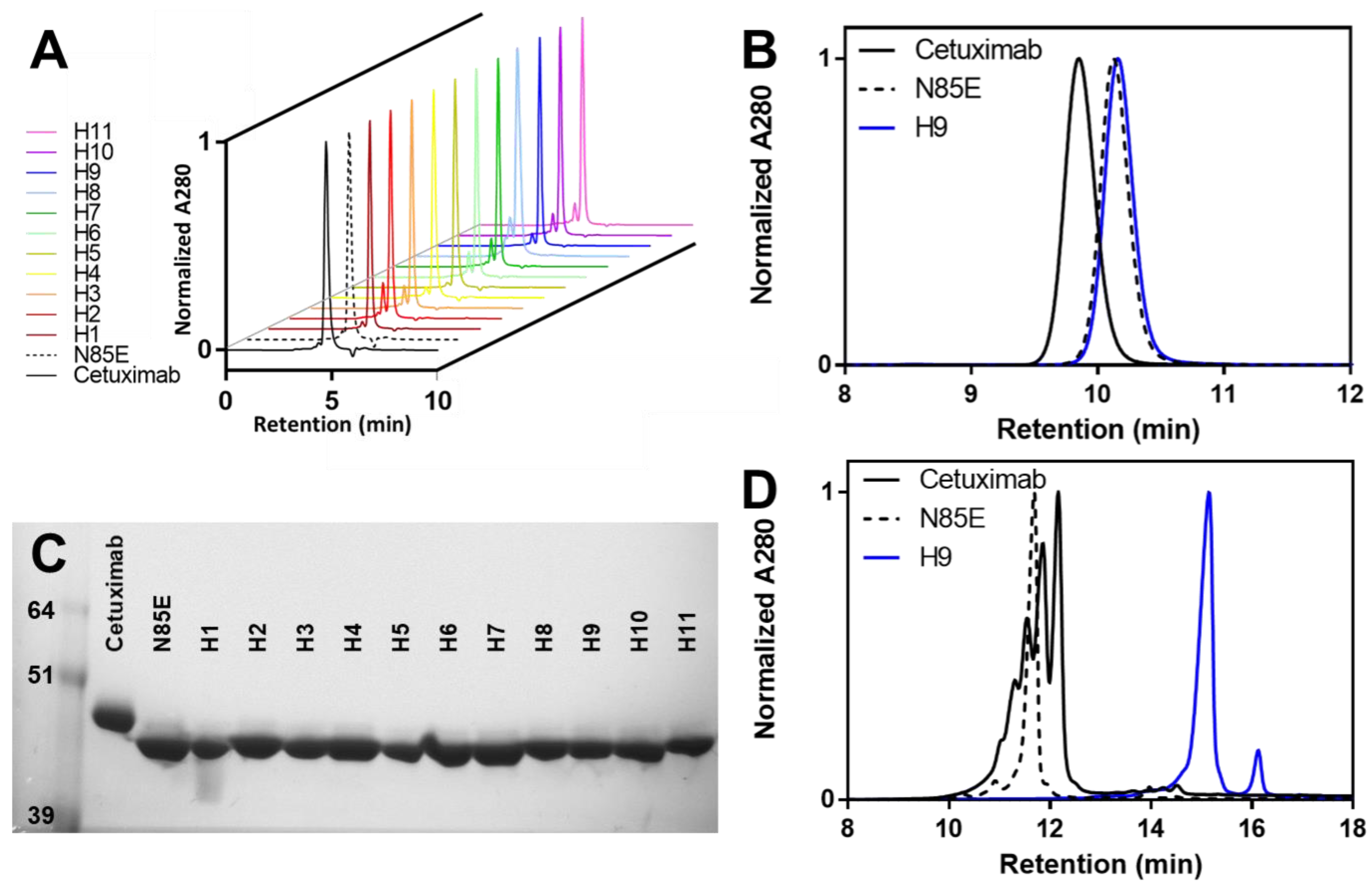 Antibodies 11 00006 g002