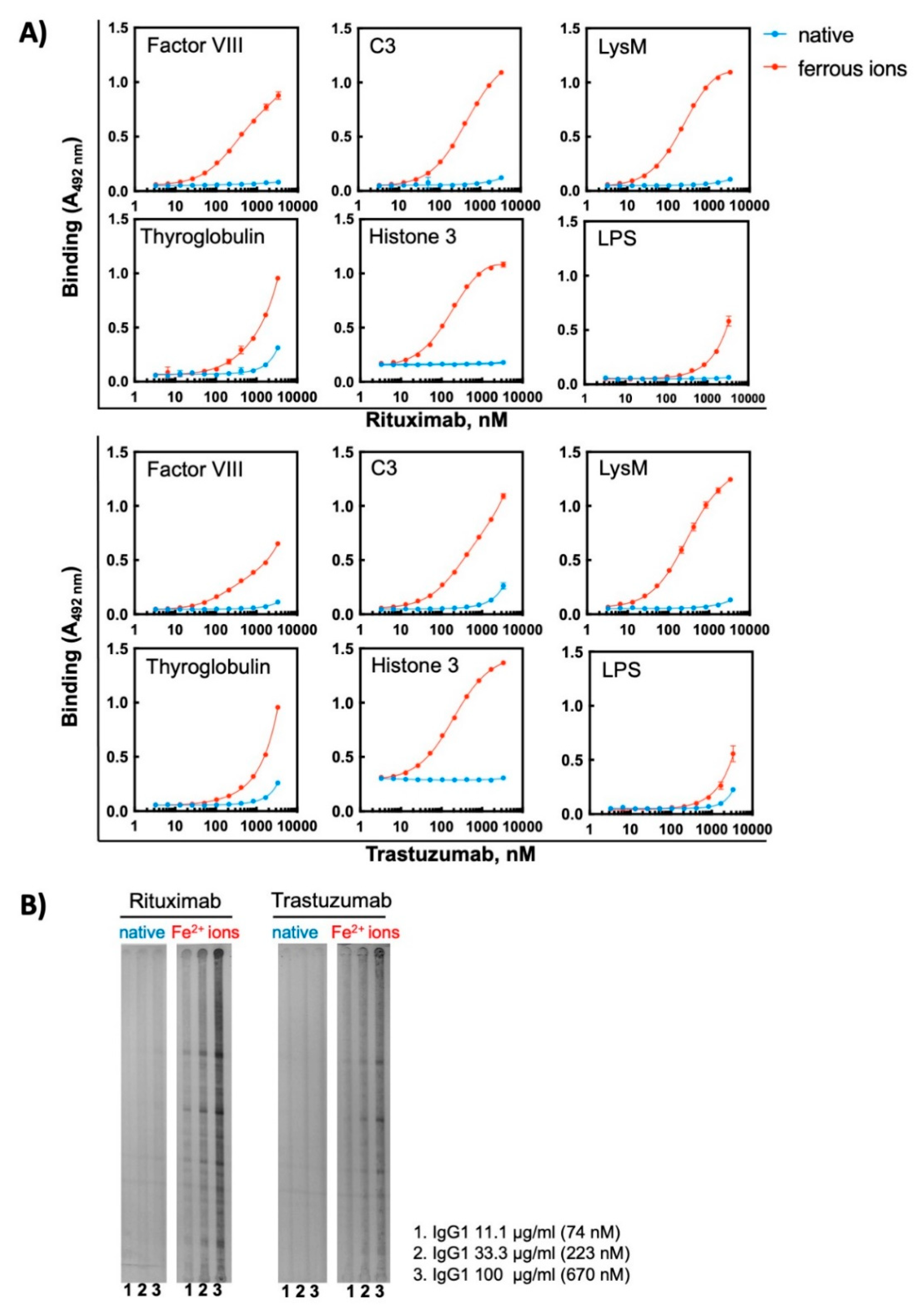 Antibodies 11 00011 g004