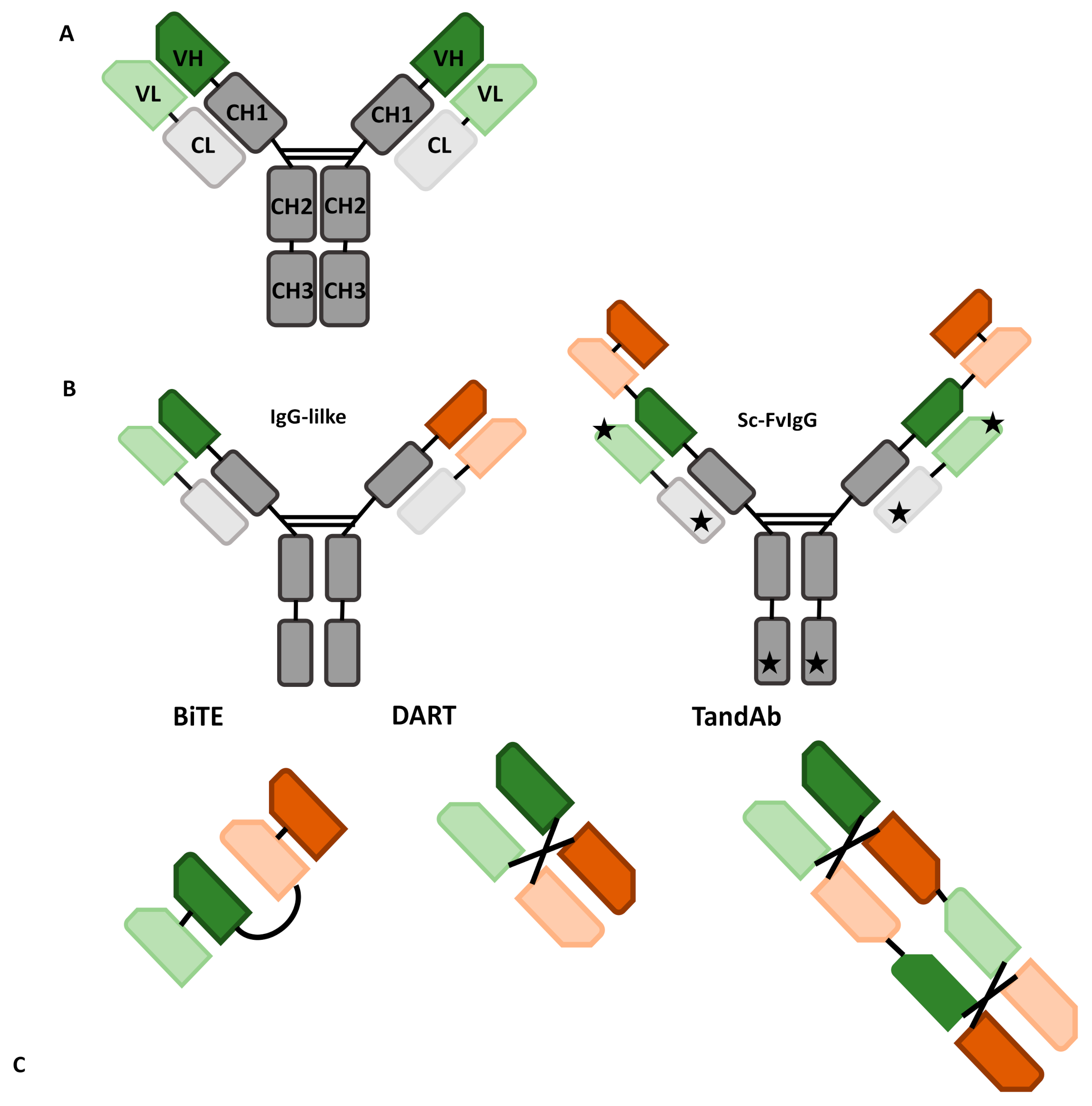 Impact of anti-CD20 monoclonal antibodies on serologic response to