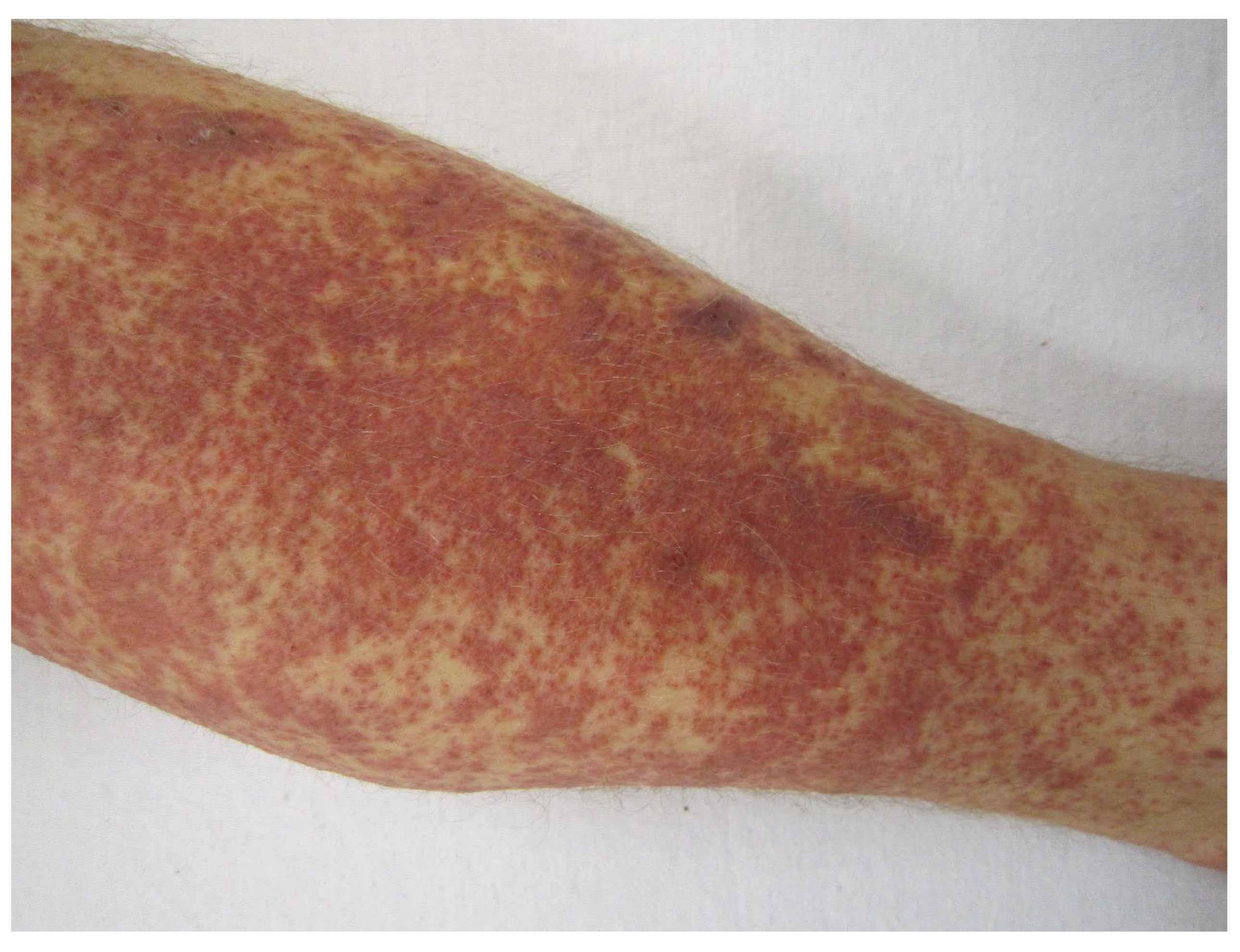 Antibodies 11 00017 g002