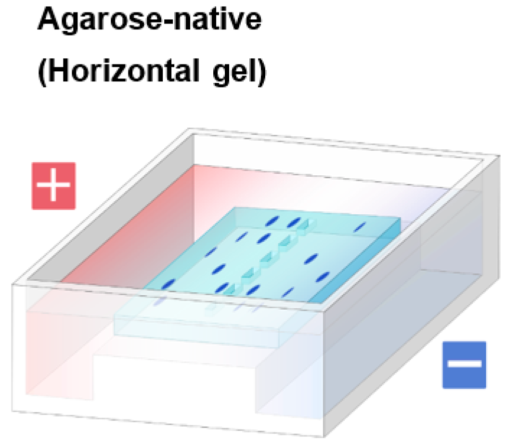 Antibodies 11 00036 g003 Antibodies 11 00036 g003