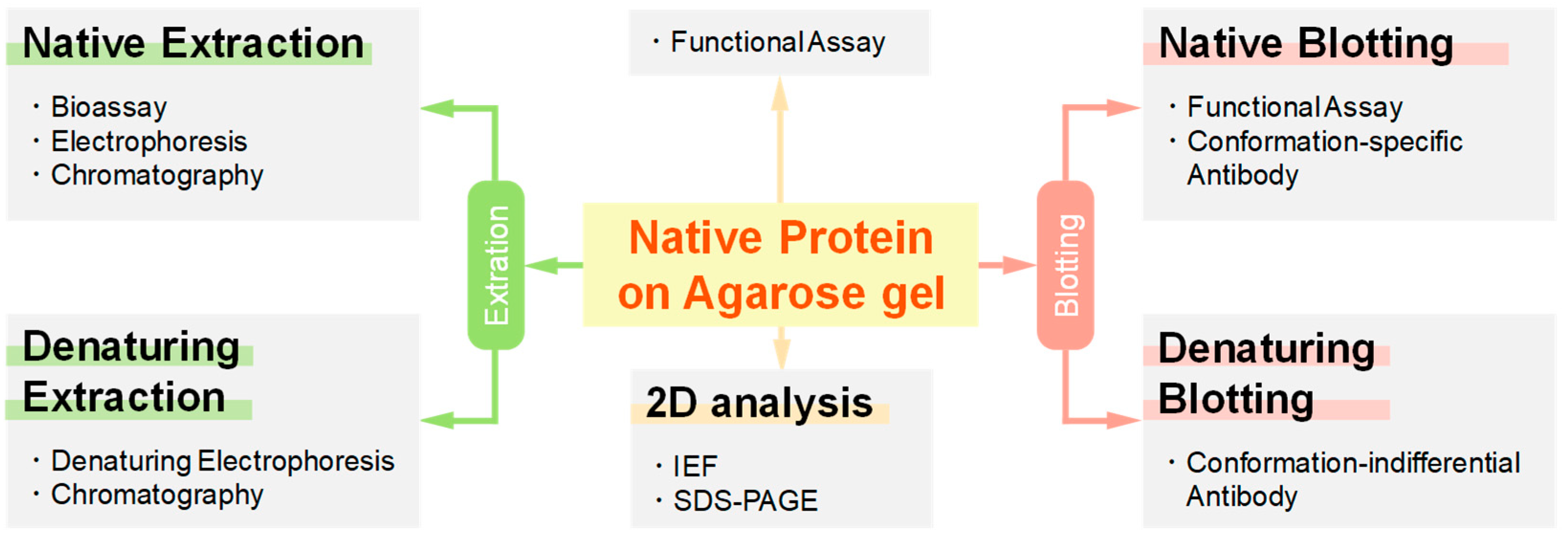 Antibodies 11 00036 g005 Antibodies 11 00036 g005