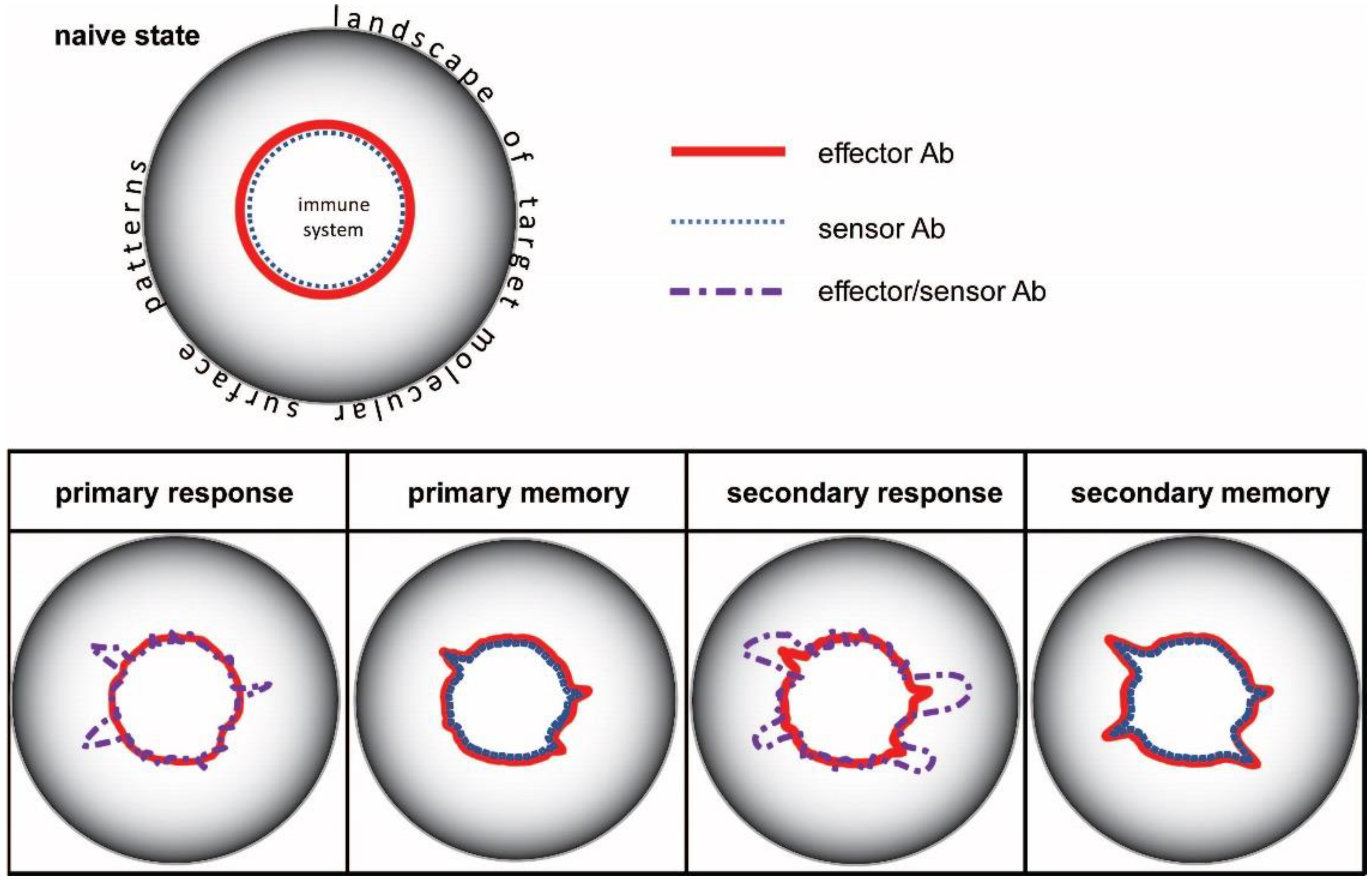 Antibodies 11 00043 g002