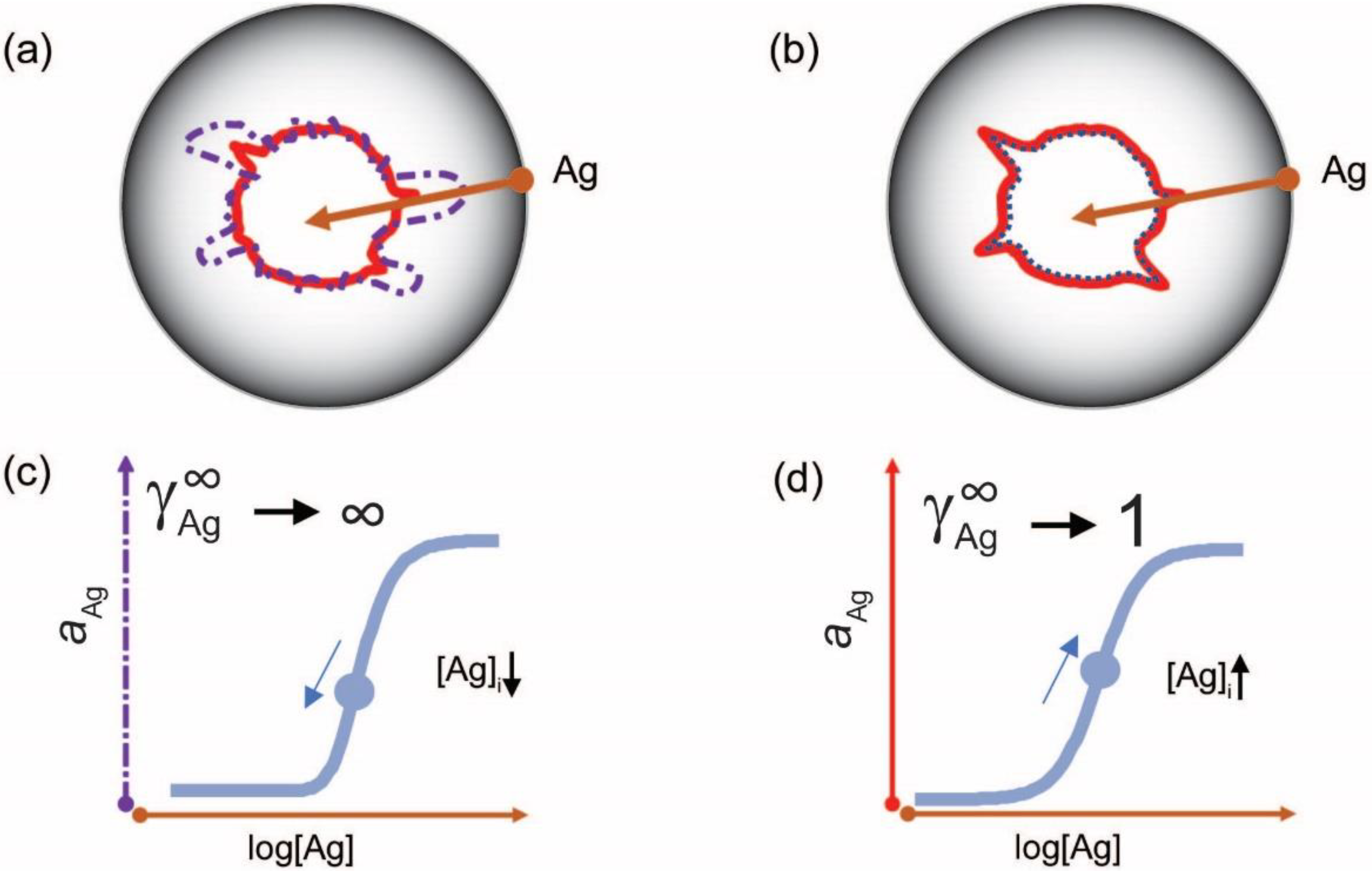 Antibodies 11 00043 g004