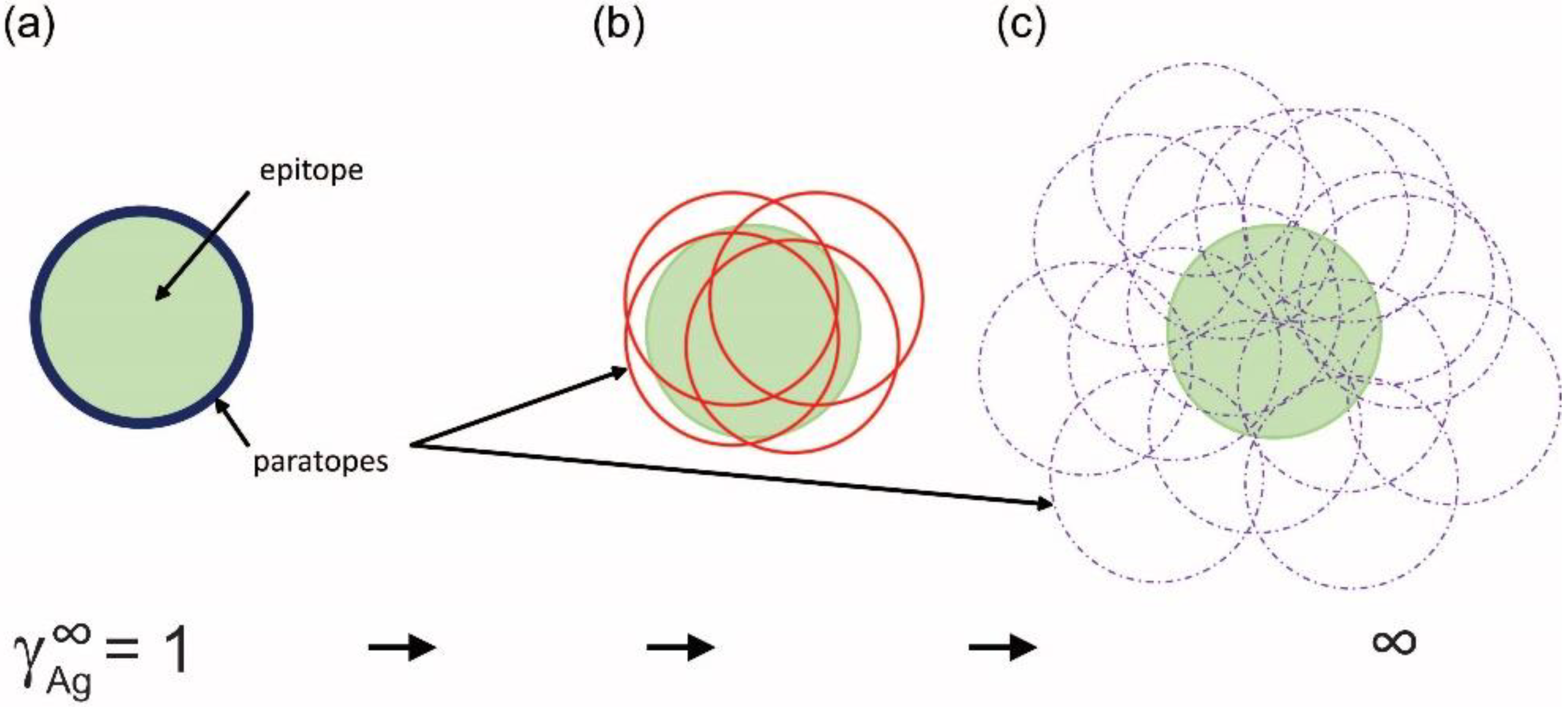Antibodies 11 00043 g005