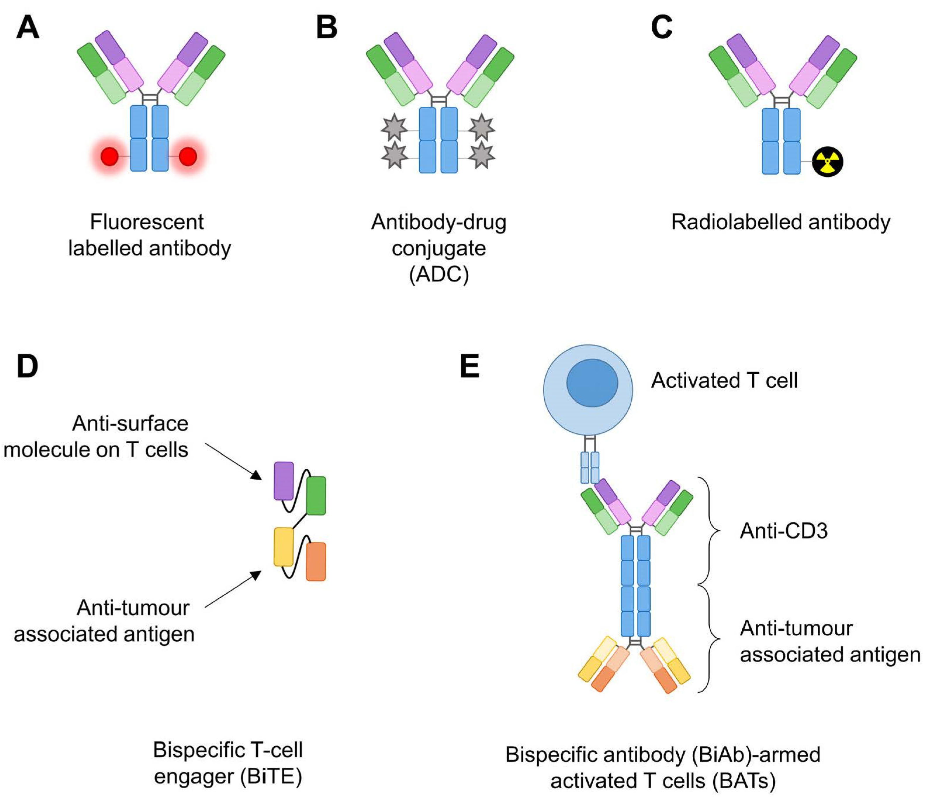 Antibody-Based Approaches to Target Pancreatic Tumours