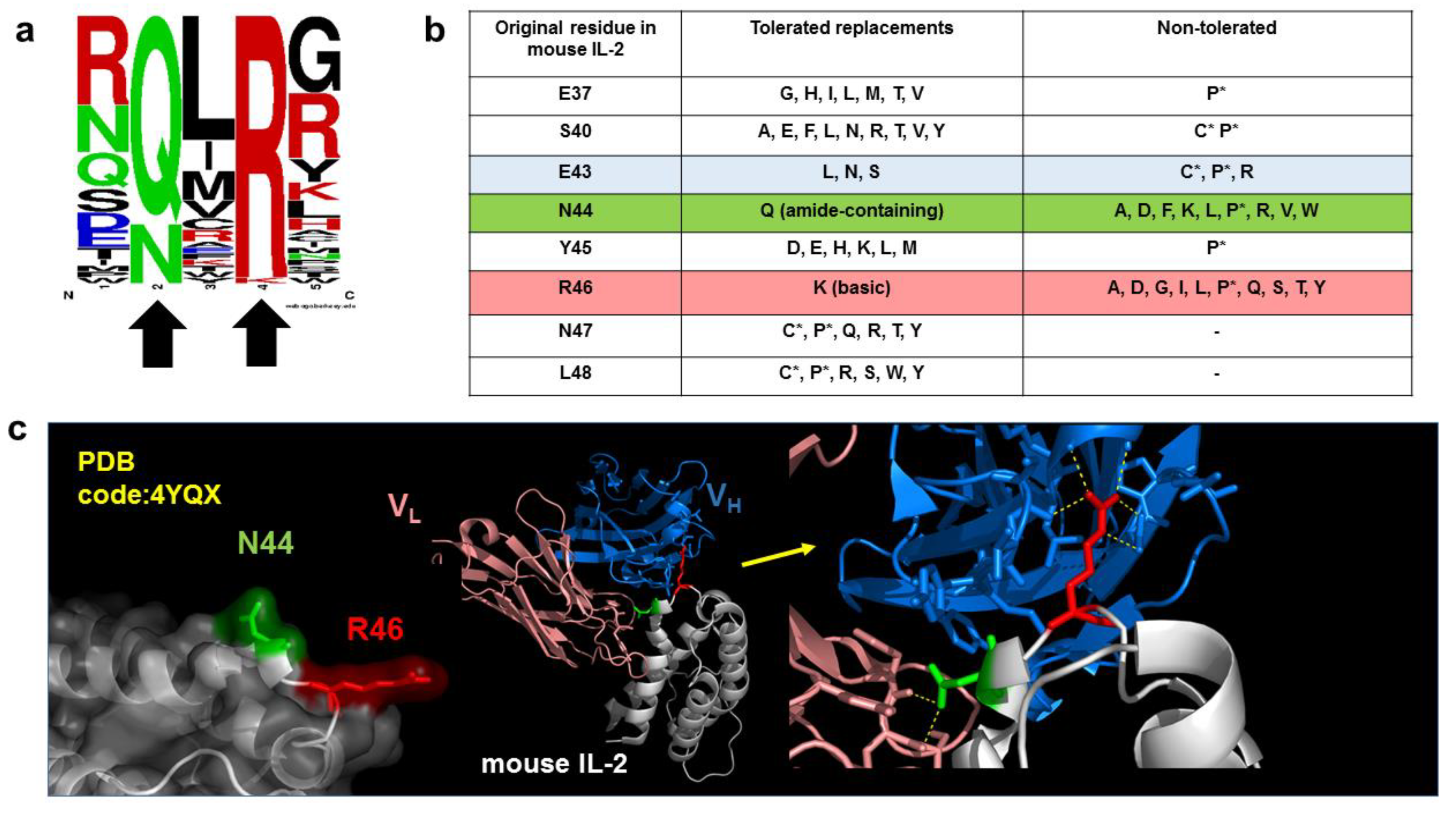 Antibodies 11 00048 g003 Antibodies 11 00048 g003